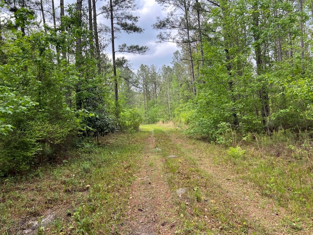 County Road 8, Union Springs, AL 36089 LandWatch