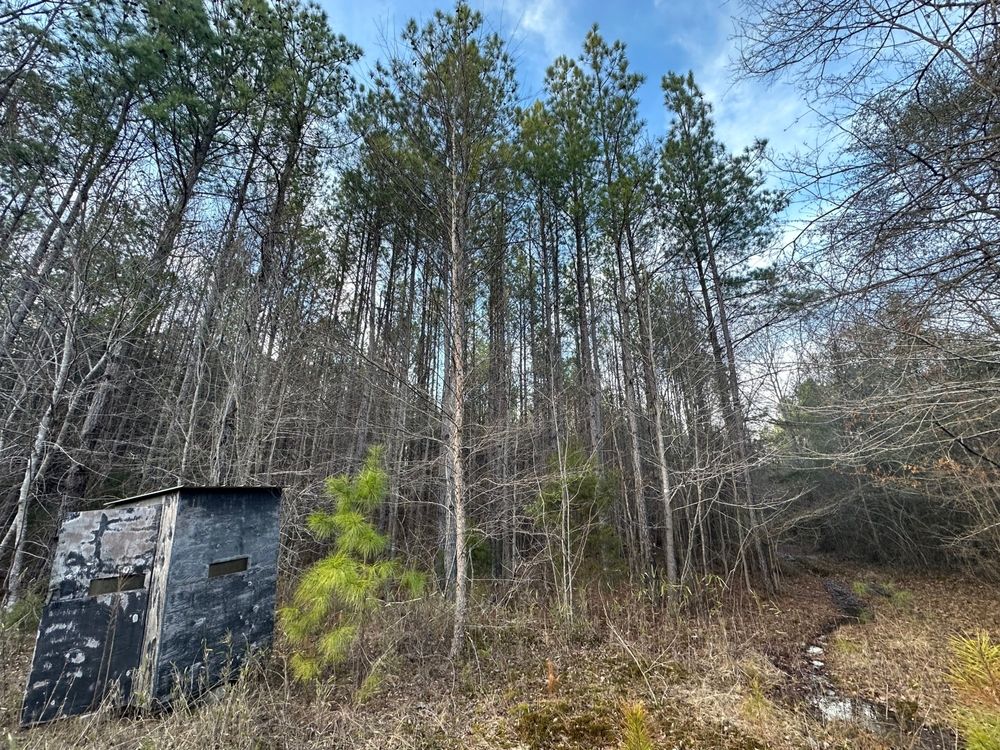 Highway 22, Valley Grande, AL 36703 LandWatch
