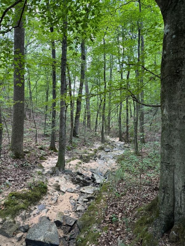 HWY 227, Guntersville, AL 35976 LandWatch