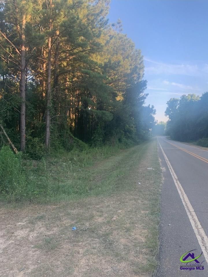 0 Laidler Road, Hawkinsville, GA 31036 MLS 244159 LandWatch