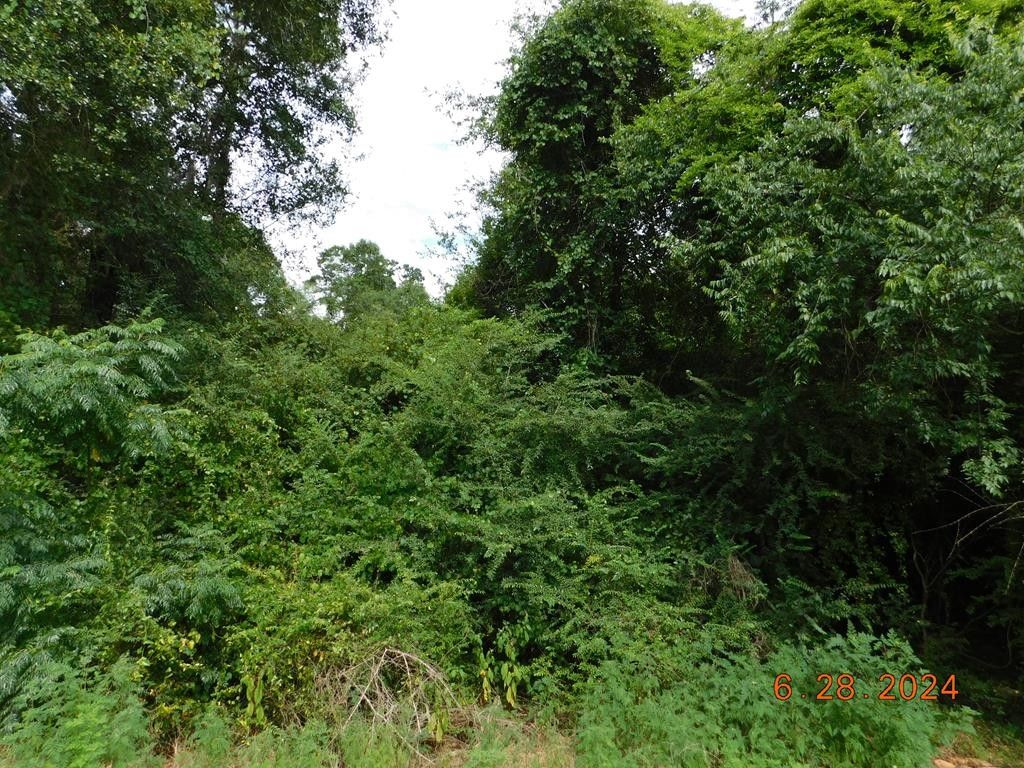 8030 Brest Station Road, Baconton, GA 31716 MLS 923368 LandWatch