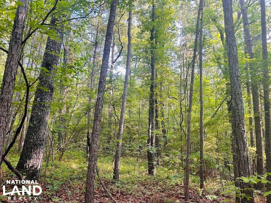 0 Springer Road Tract 2, Whitesburg, GA 30185 LandWatch