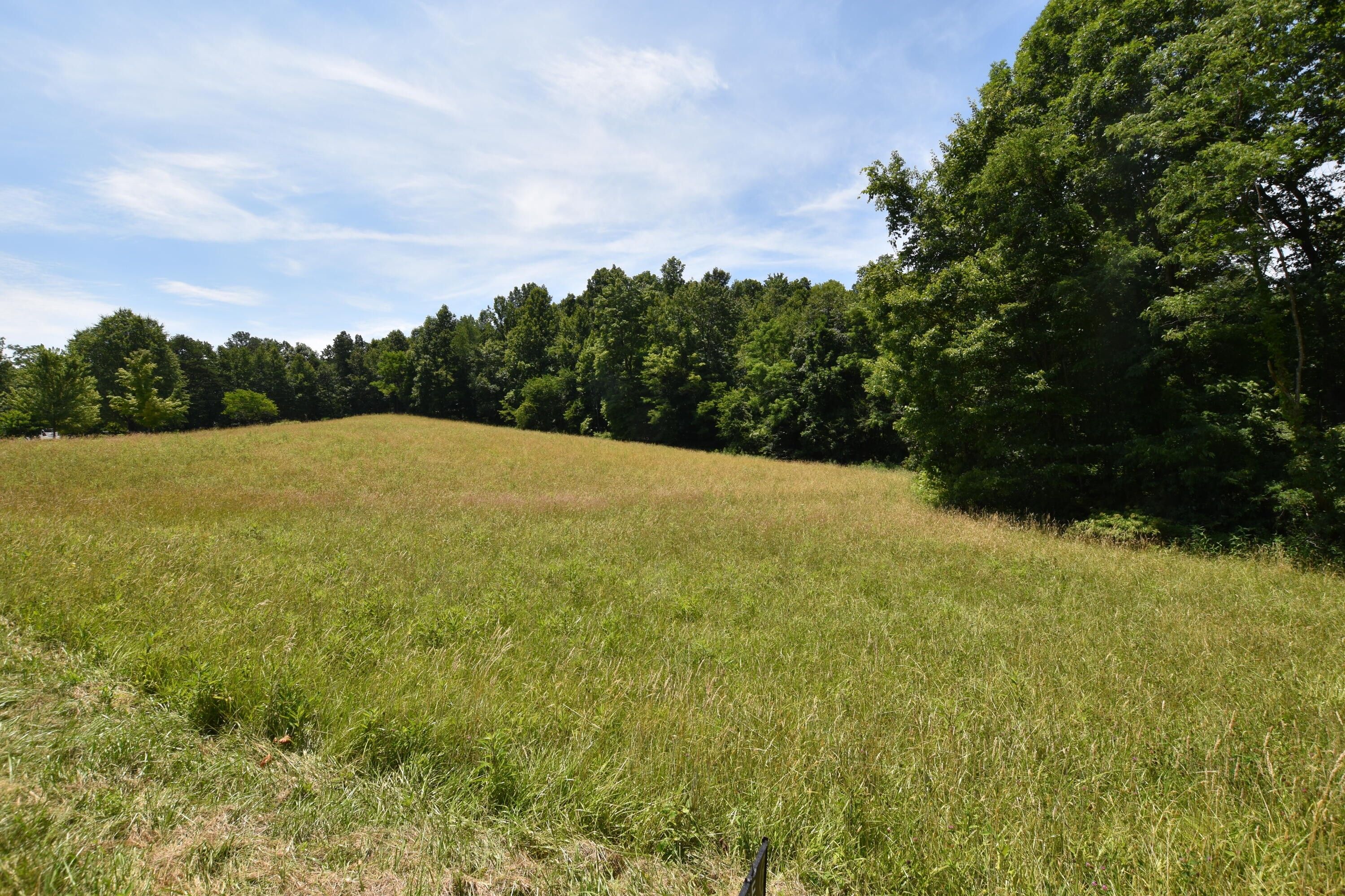 00 Hester Ridge, Wallingford, KY 41093 MLS 24013649 LandWatch