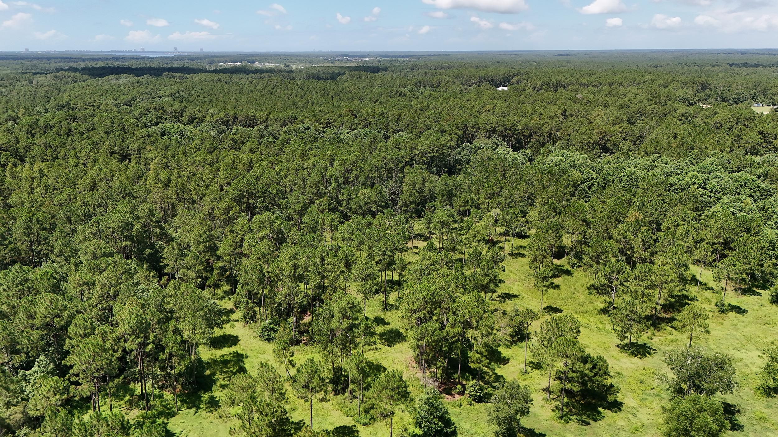 13 acres in Elberta, AL, 36530 LandWatch