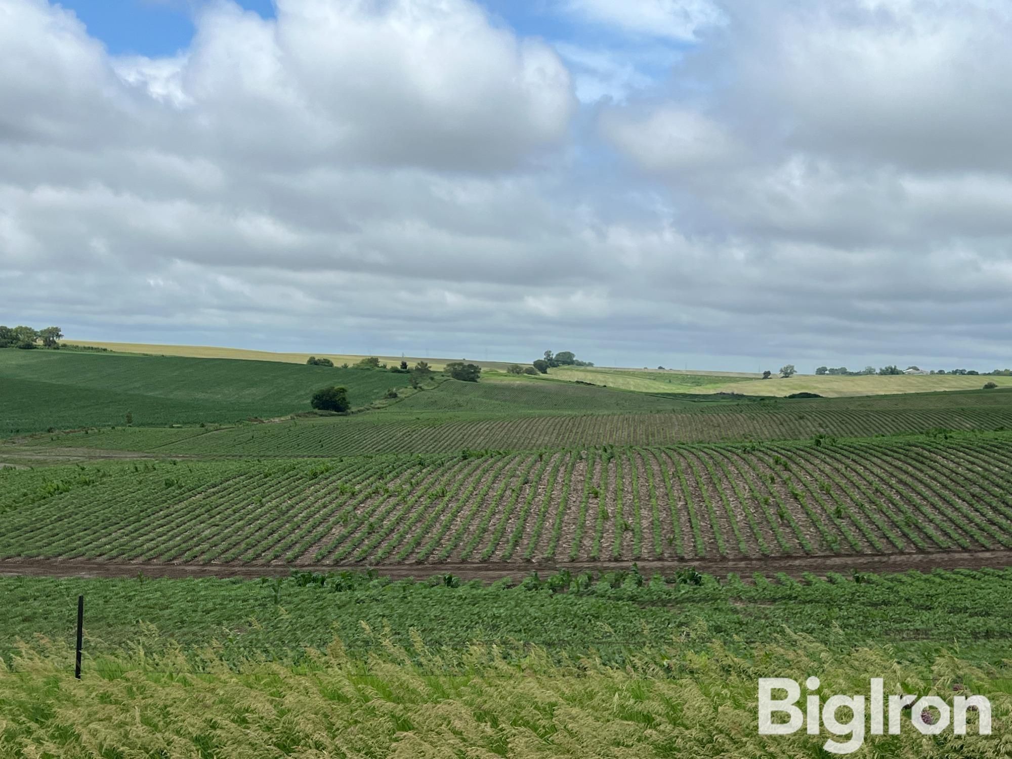 309.9 acres in Newman Grove, NE, 68758 LandWatch