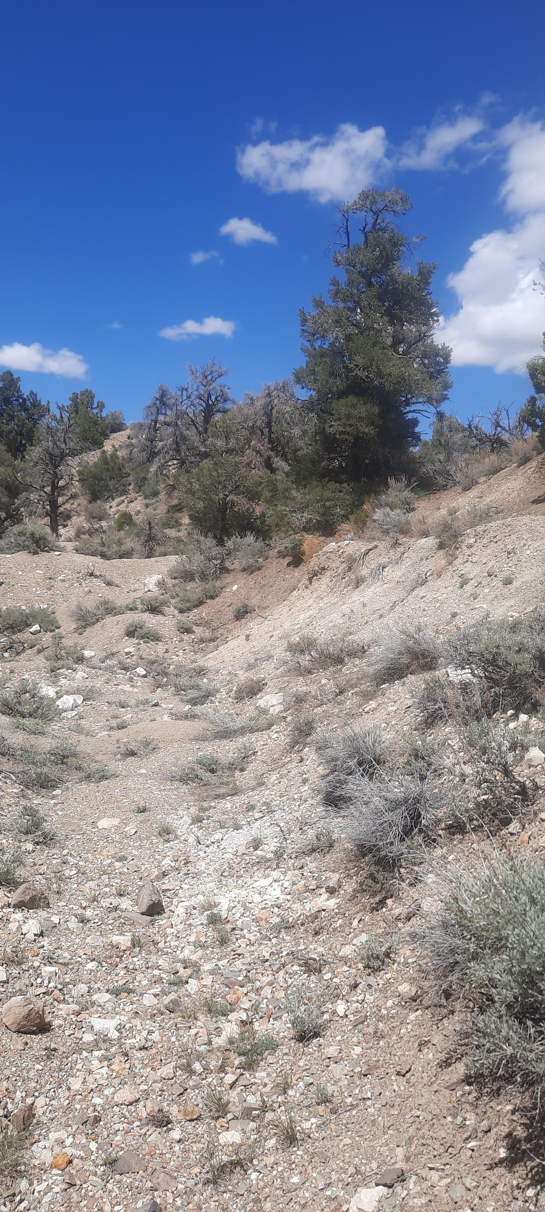 Sylvania Canyon Road, Lida, NV 89013 MLS Exclusive LandWatch