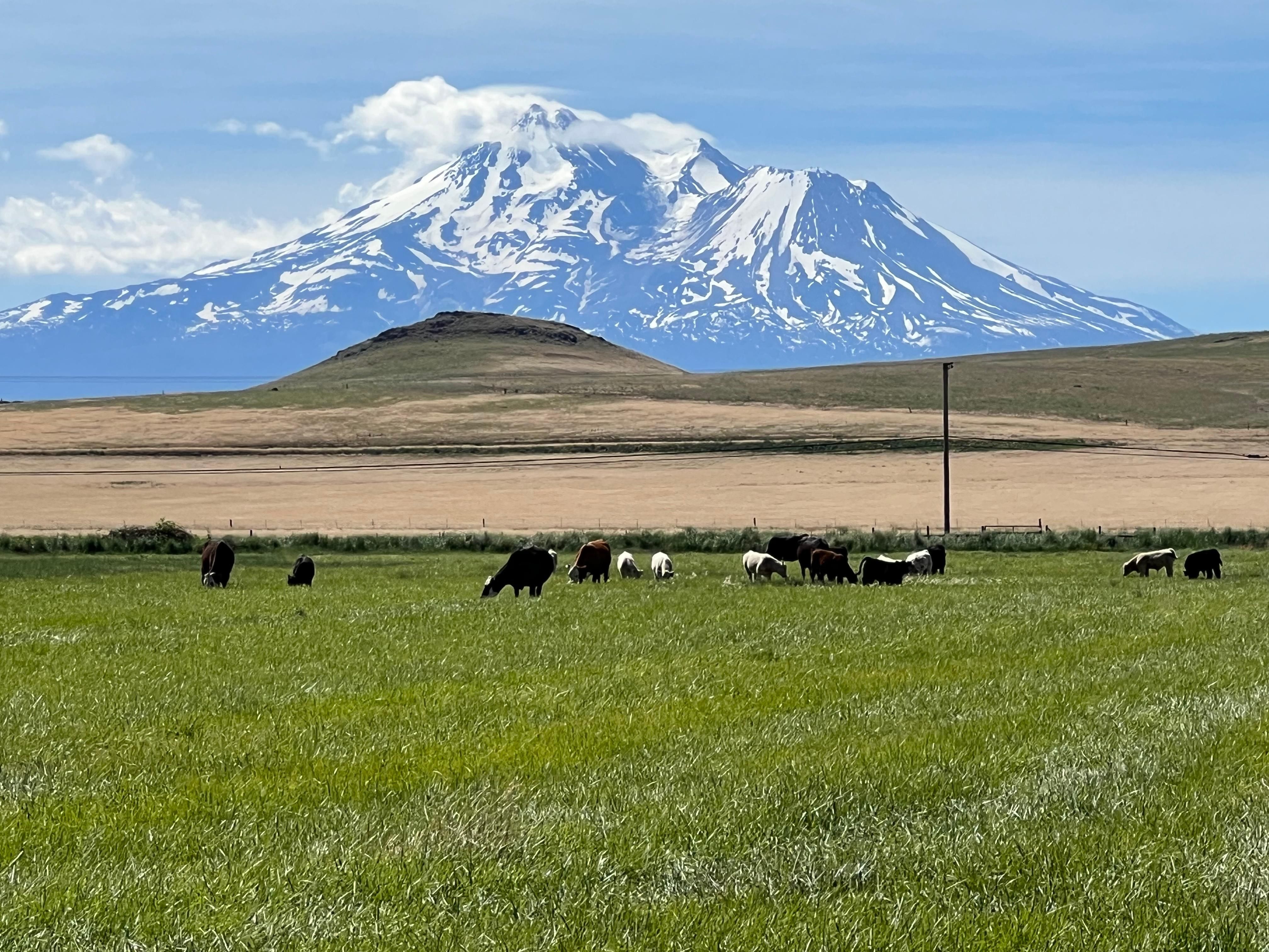 1905 Airport Road, Montague, CA 96064 MLS 324039692 LandWatch