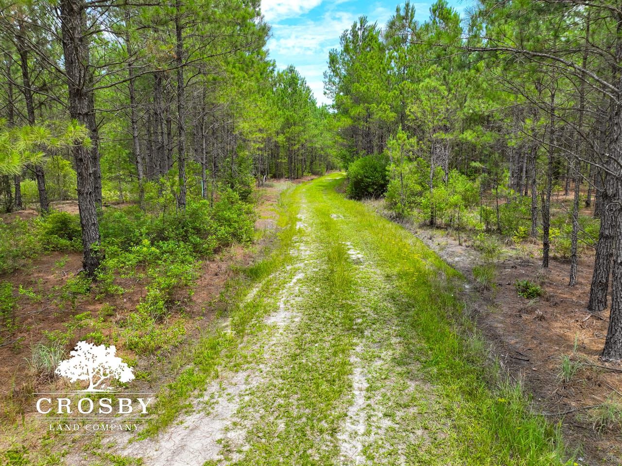 226 acres in Walterboro, SC, 29488 LandWatch