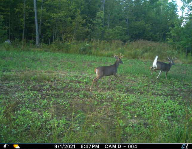 Off Mail Route Rd, Prentice, WI 54556 MLS 50274853 LandWatch