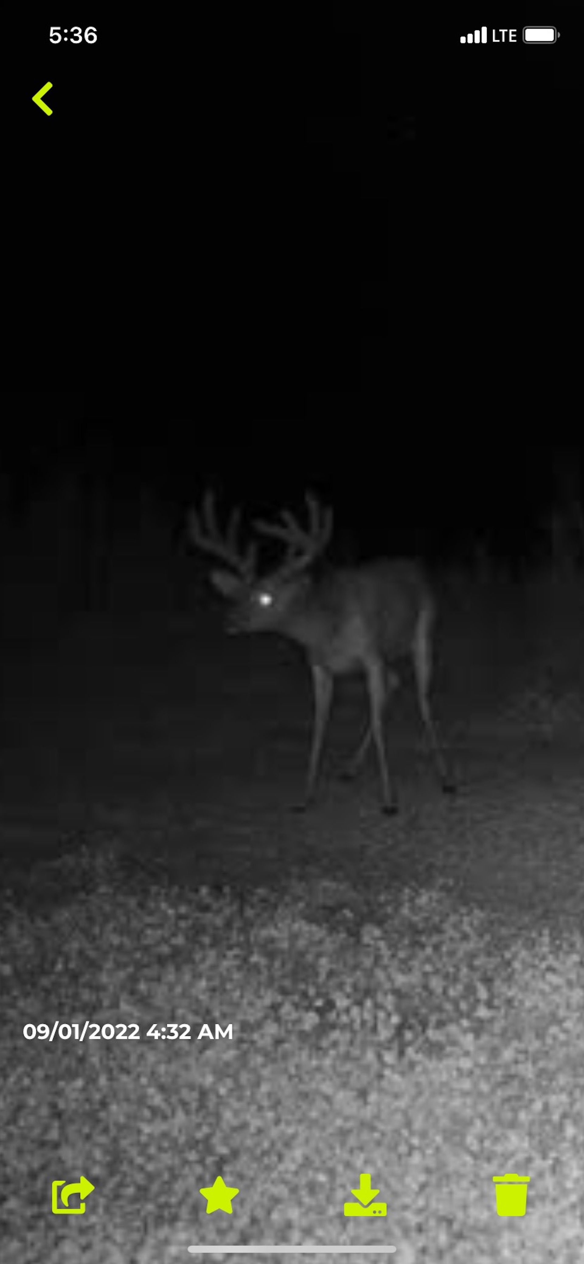 Gordonsville Rd, LotWP001, Russellville, KY 42276 LandWatch