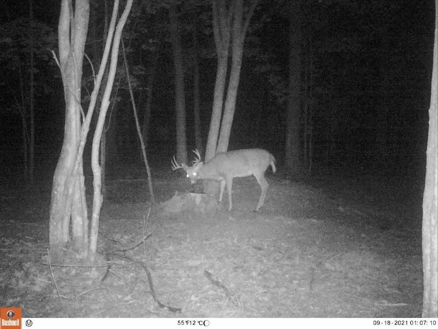 3010 Mt. Tom Rd, Comins, MI 48619 LandWatch