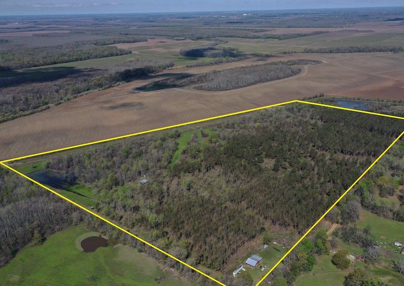 CR 156, LotWP001, Sidon, MS 38954 LandWatch