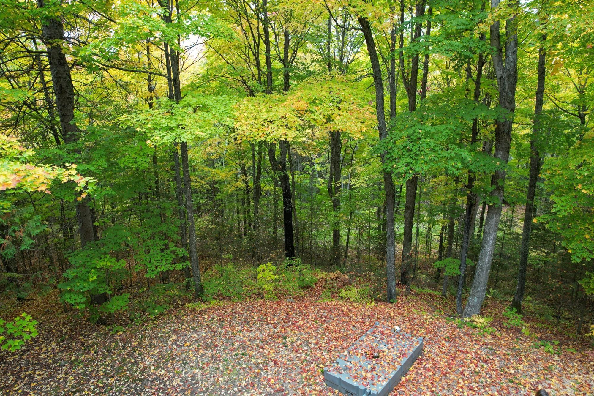 18 Acres JUNGLE LAKE RD, Crandon, WI 54520 MLS 205815 LandWatch