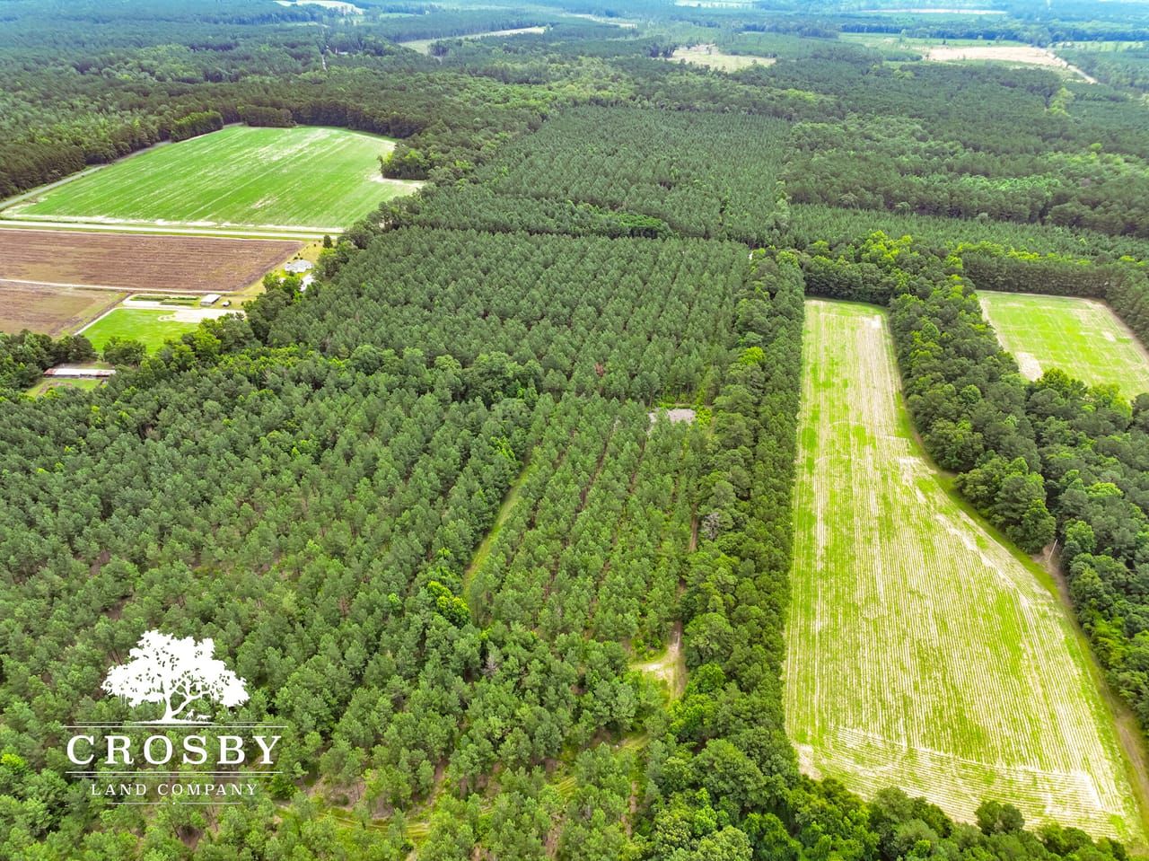 204 acres in Ruffin, SC, 29475 LandWatch