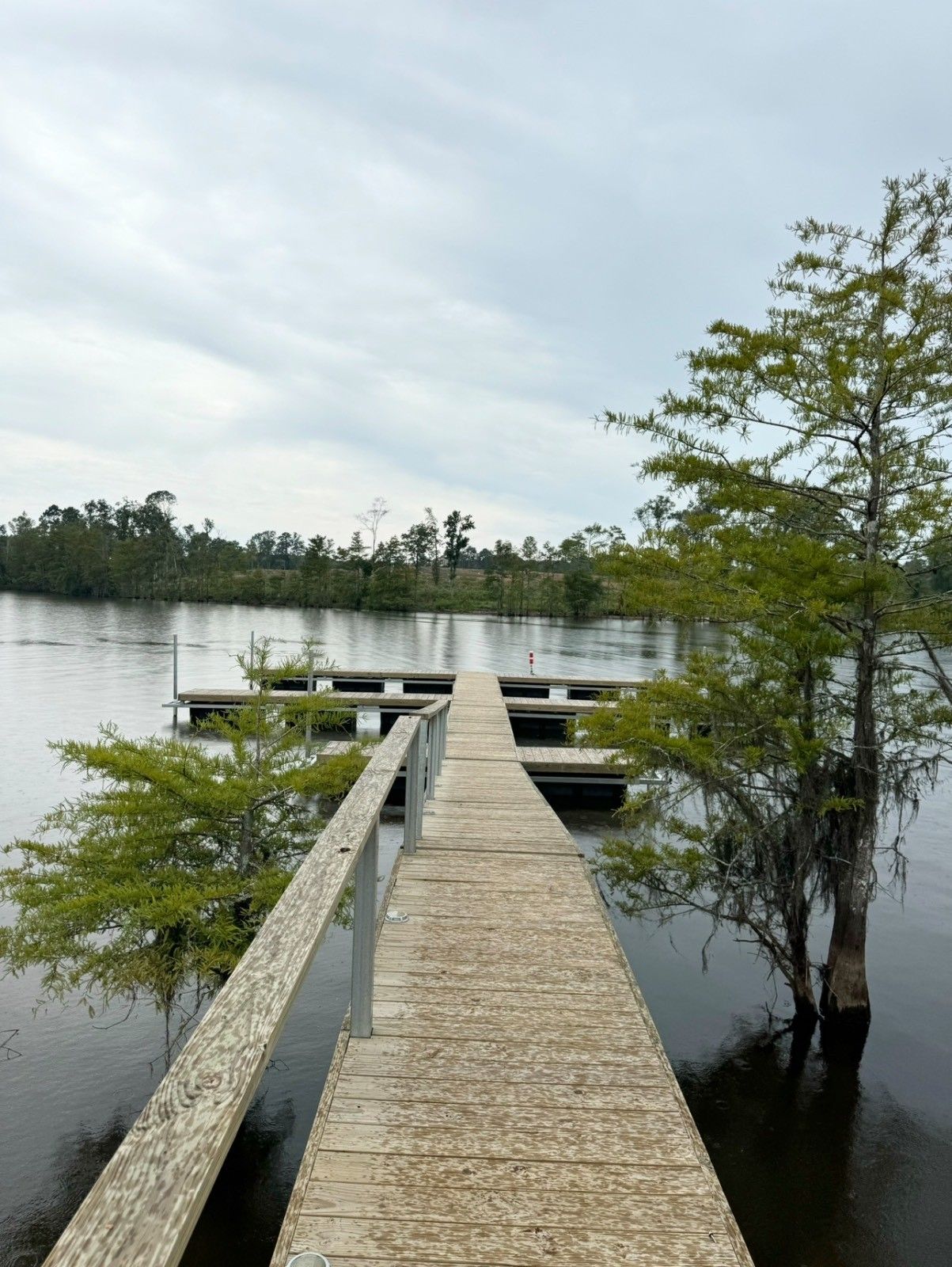 65 Quiet Cove Road, Florien, LA 71429 MLS 11165838 LandWatch