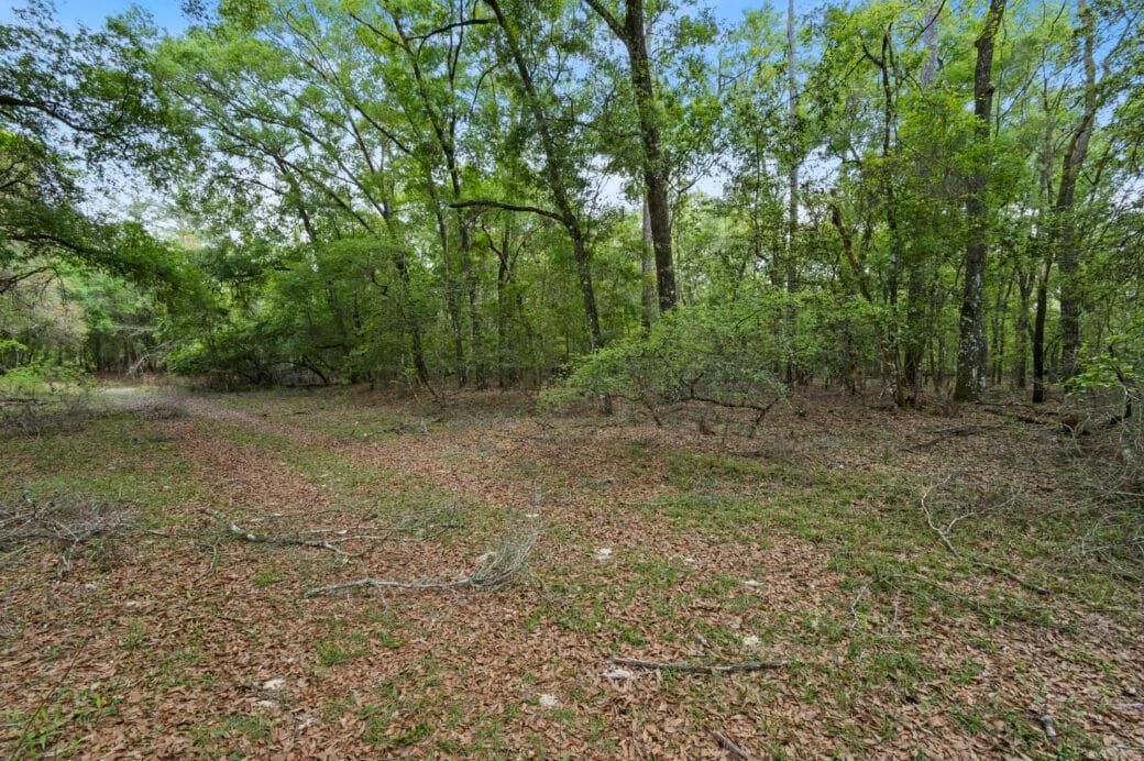 SW 14th Pl, Bell, FL 32619 MLS 0809140023000E0020 LandWatch