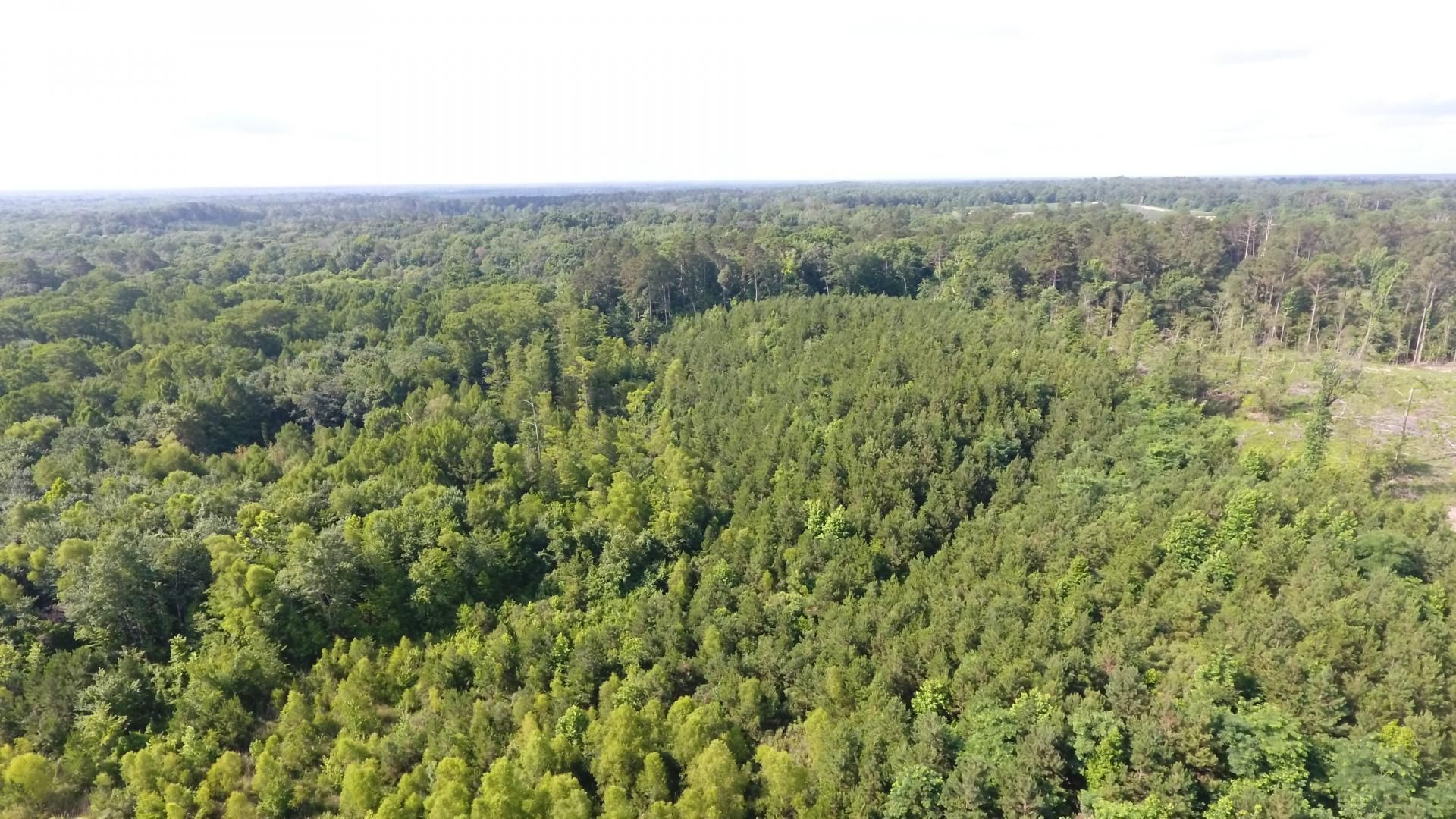 TBD BRADLEY 56 RD., Johnsville, AR 71647 MLS 24027784 LandWatch