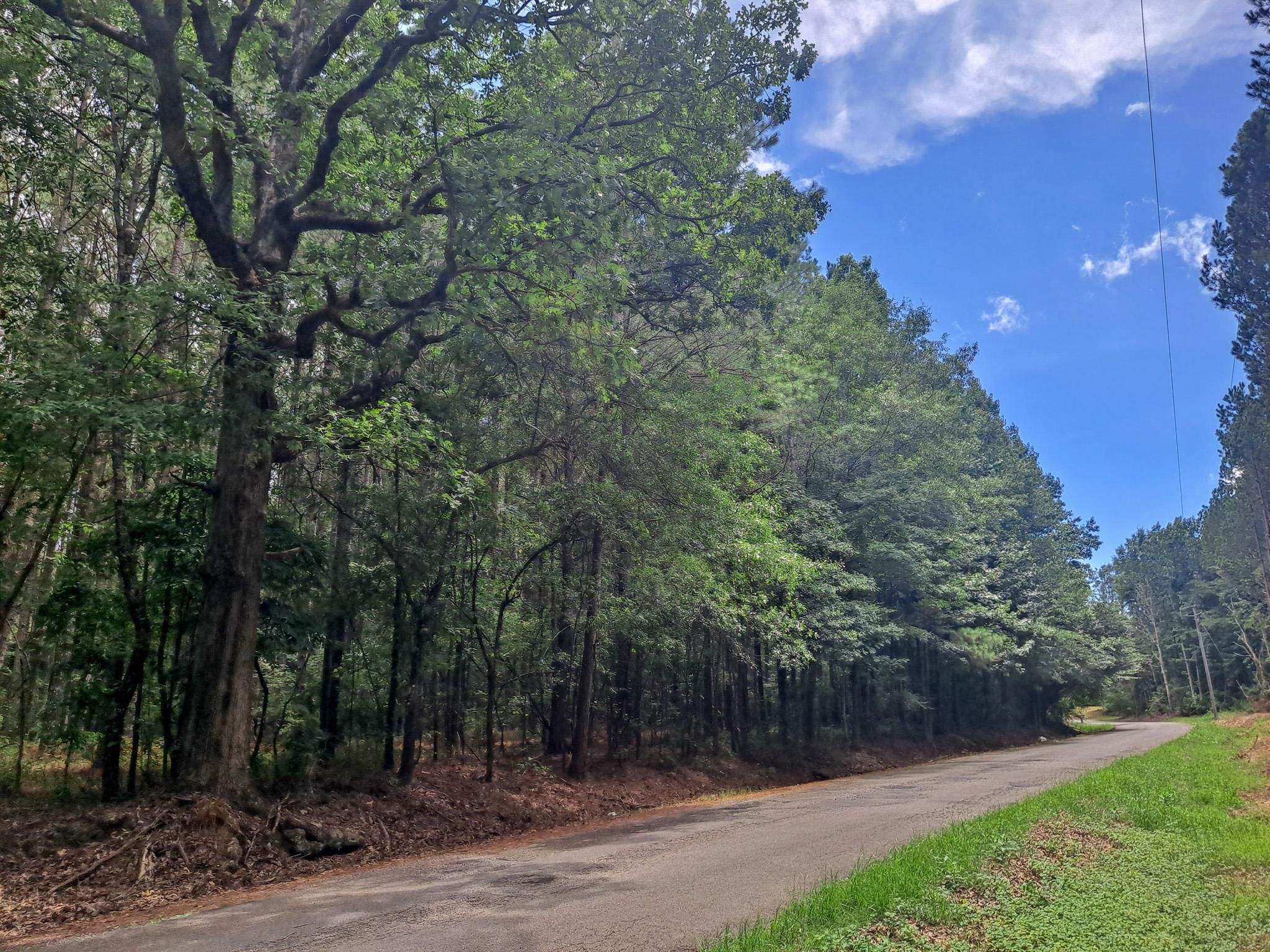 2 Hill Road, Nauvoo, AL 35578 MLS Brookside South LandWatch
