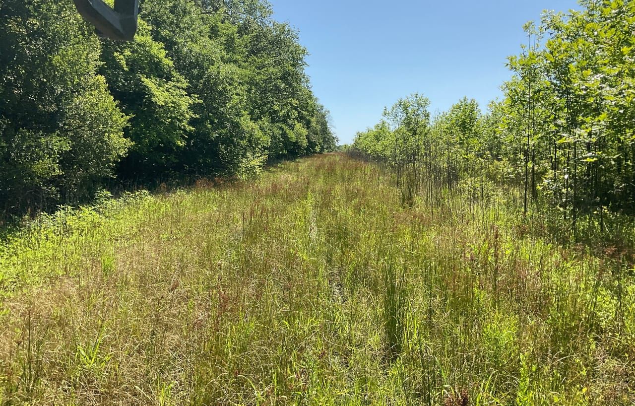 155.5 acres in Humphrey, AR, 72073 LandWatch