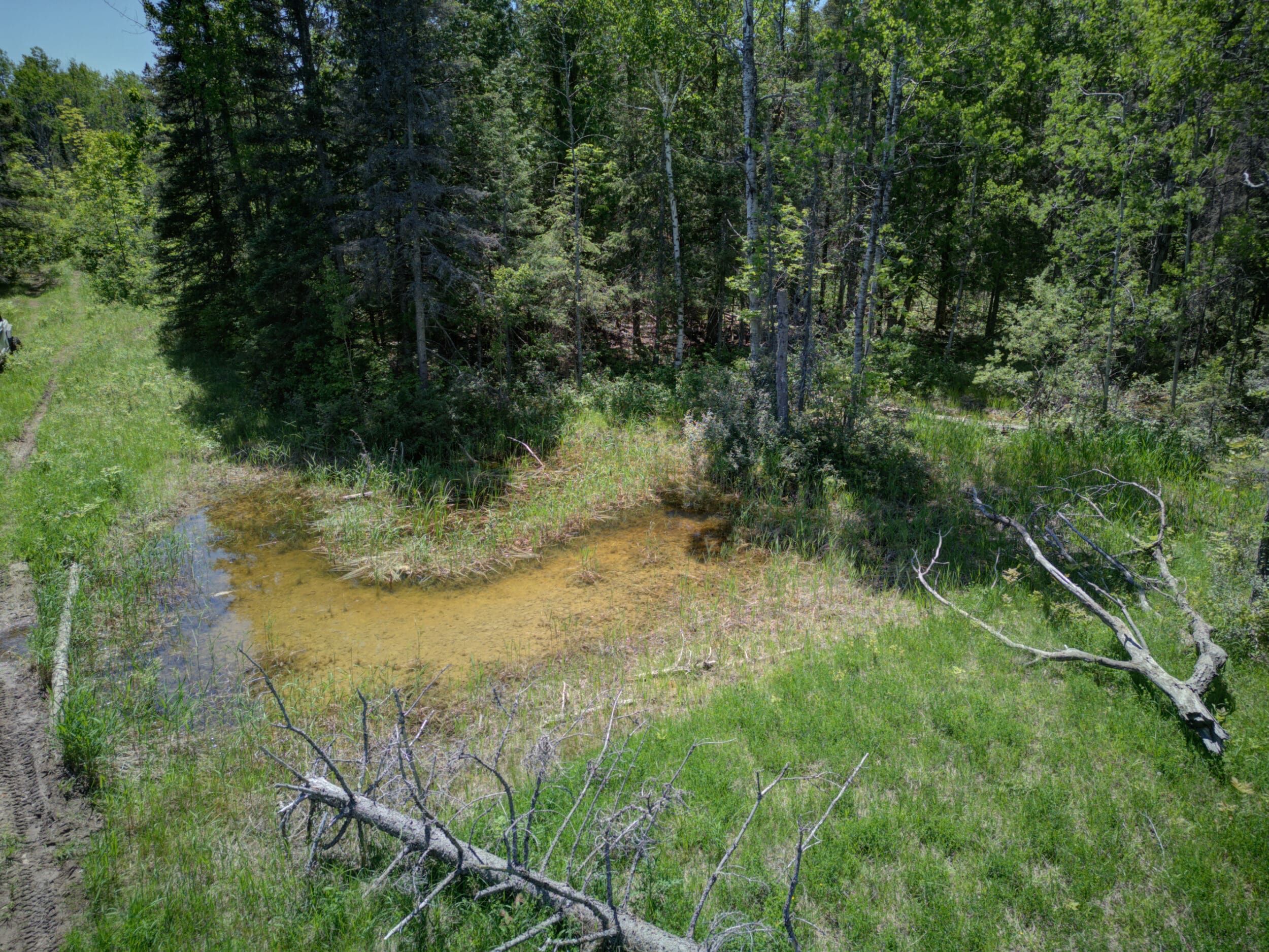 11253 Clinton Creek Rd., Posen, MI 49776 LandWatch