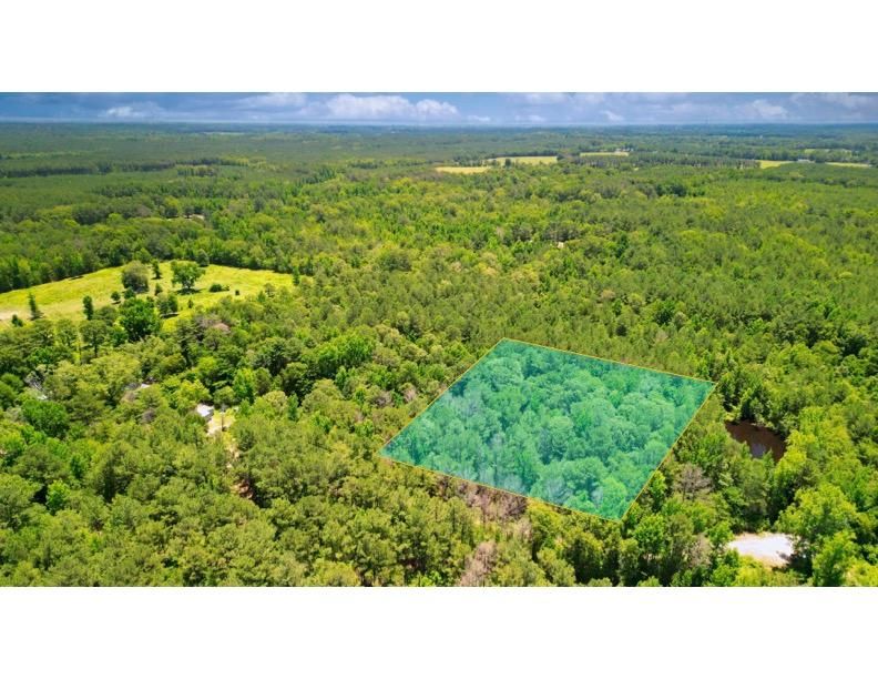 1515 Ealy Rd, Lena, MS 39094 | LandWatch