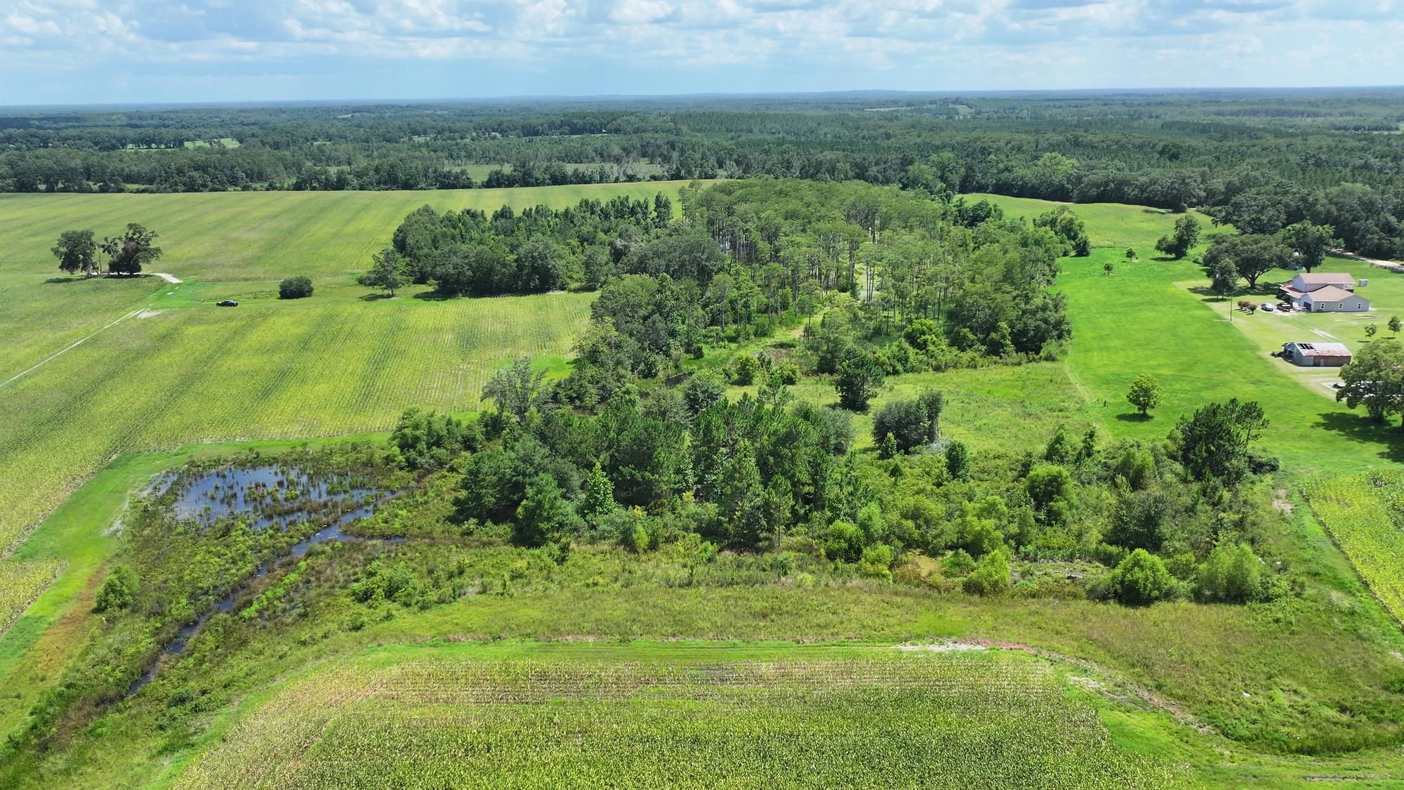 Cliff Rd, Graceville, FL 32440 | LandWatch