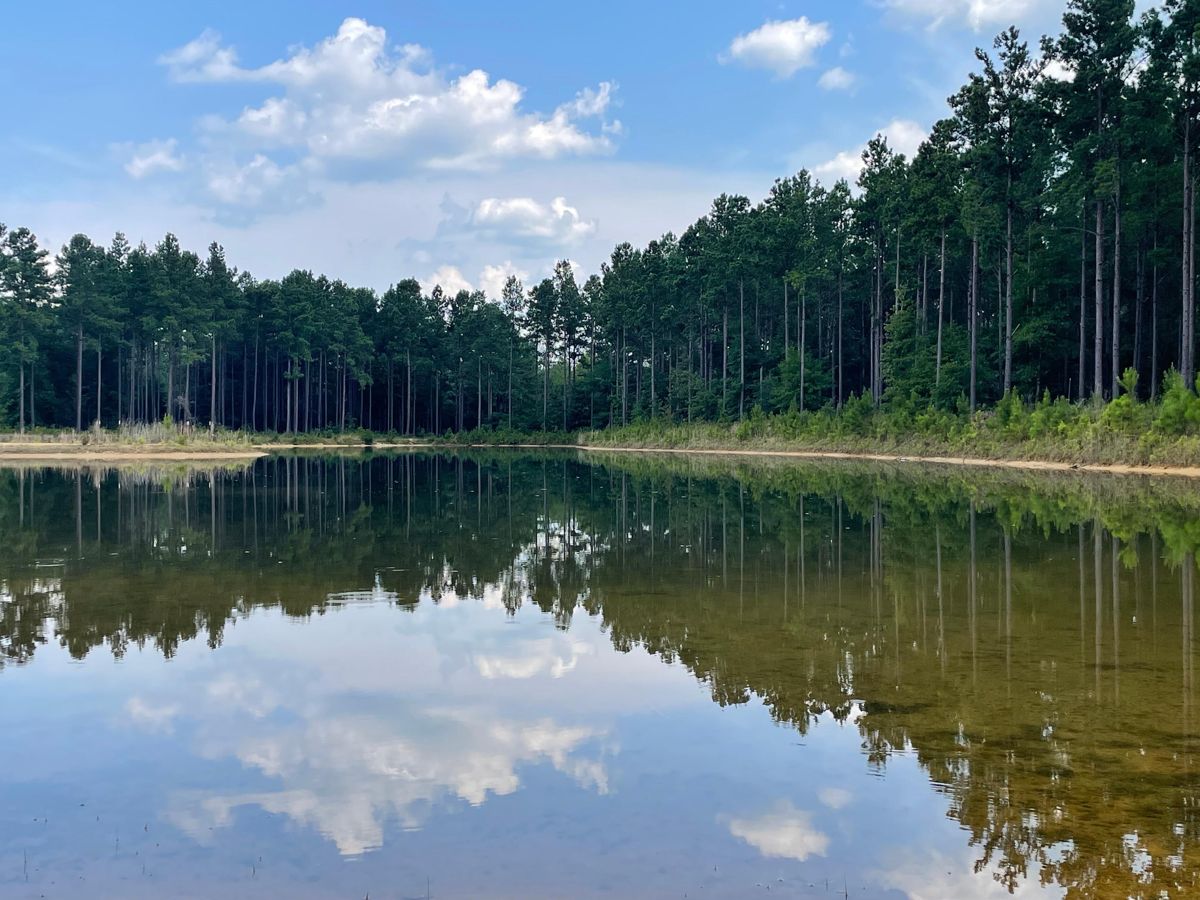 701799 Spear Road, Leary, GA 39862 LandWatch