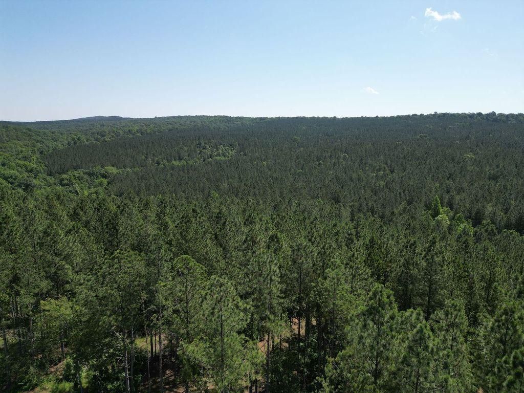 50 acres in Remlap, AL, 35133 MLS 2805160000001.000 LandWatch