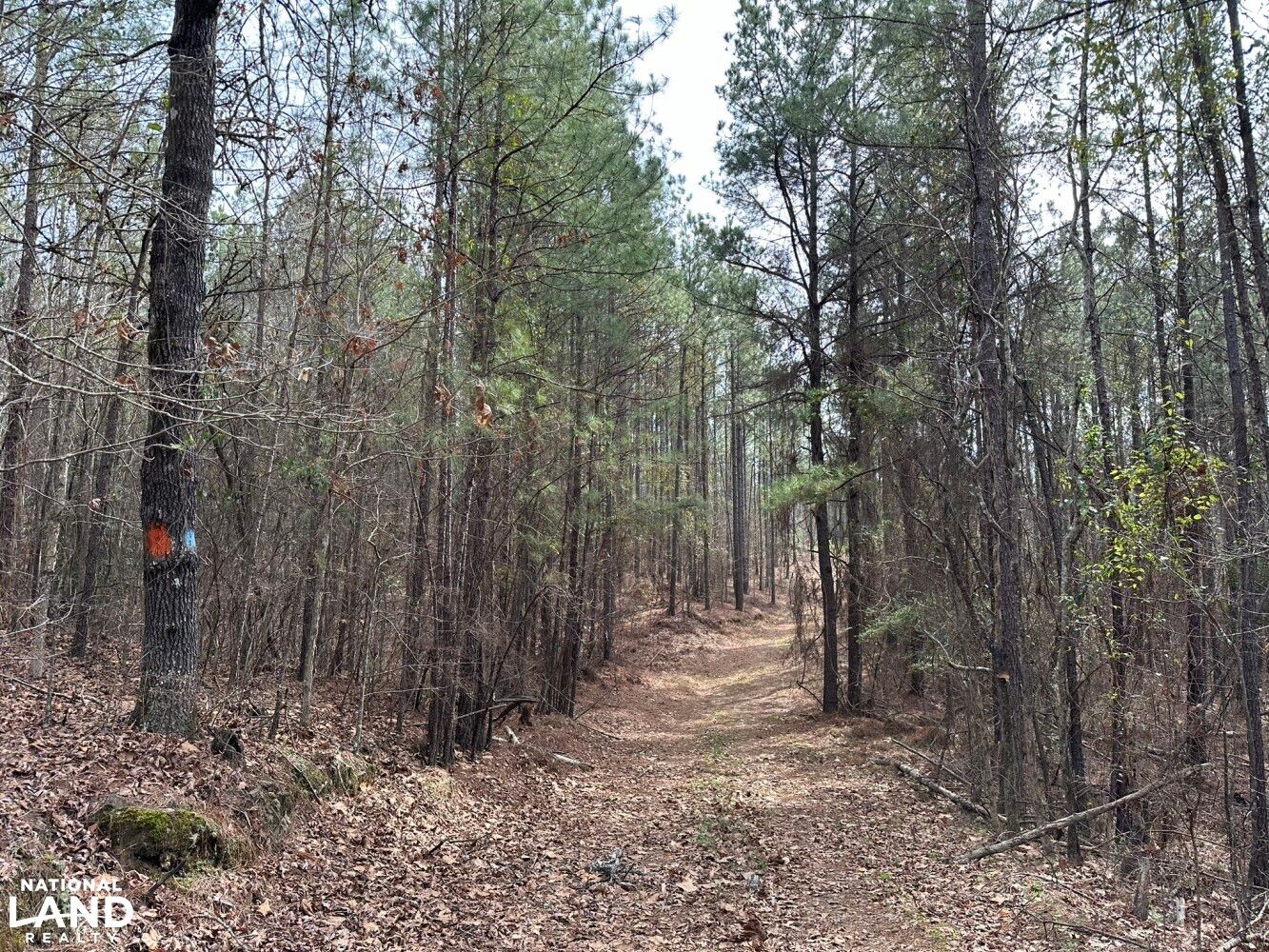 0 Gary Springs Loop, Centreville, AL 35042 LandWatch