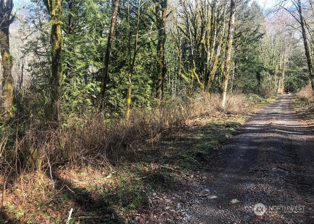 0 Butts Road, Morton, WA 98356 MLS 2241764 LandWatch