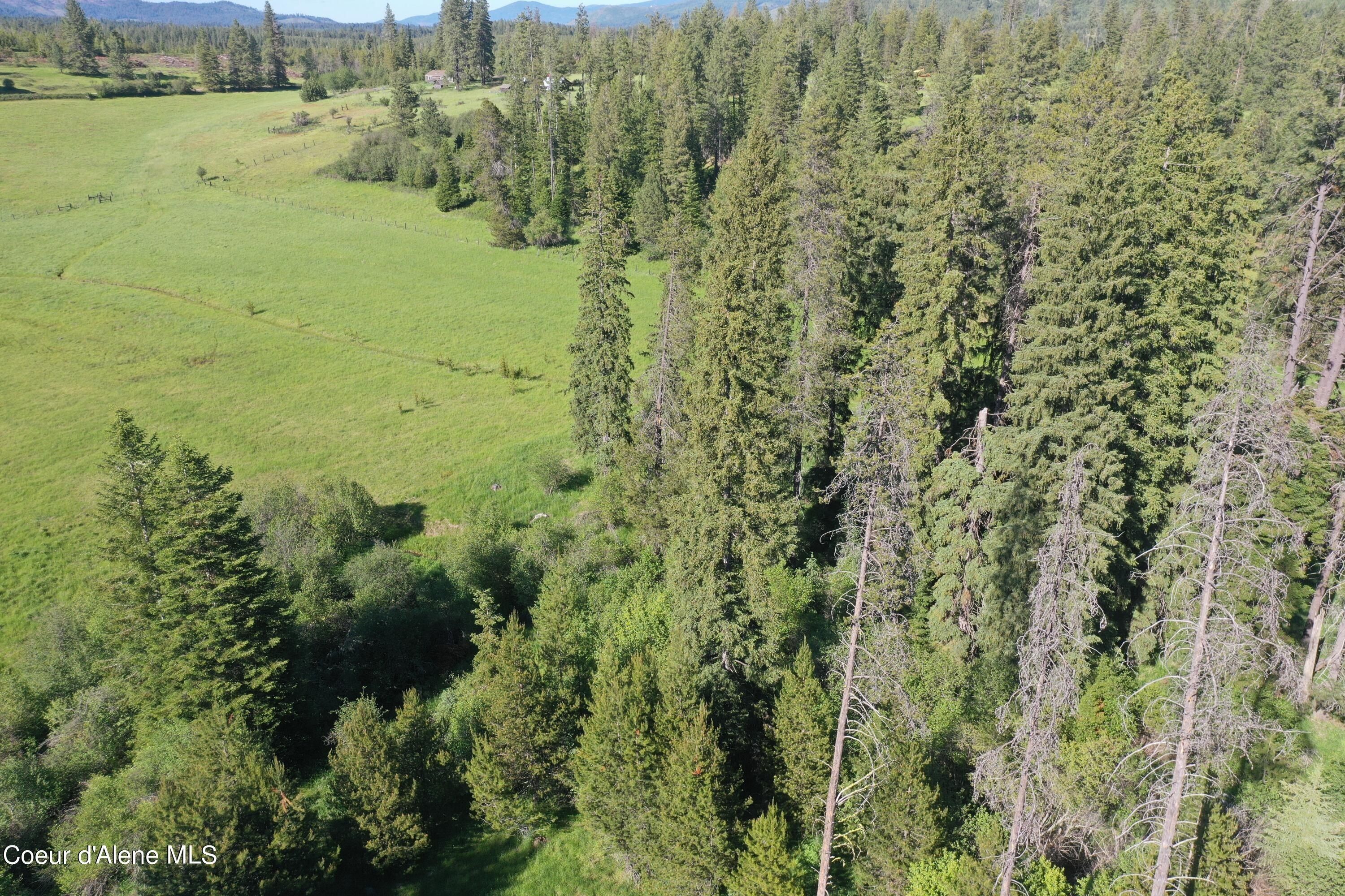 Nka Parcel 200 Windfall Pass, Saint Maries, ID 83861 | MLS: 24-8418 ...