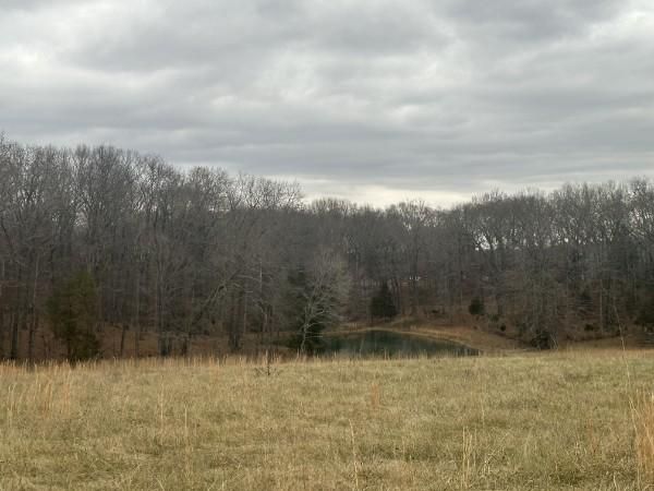 1 Myatt Loop, Burns, TN 37029 | LandWatch