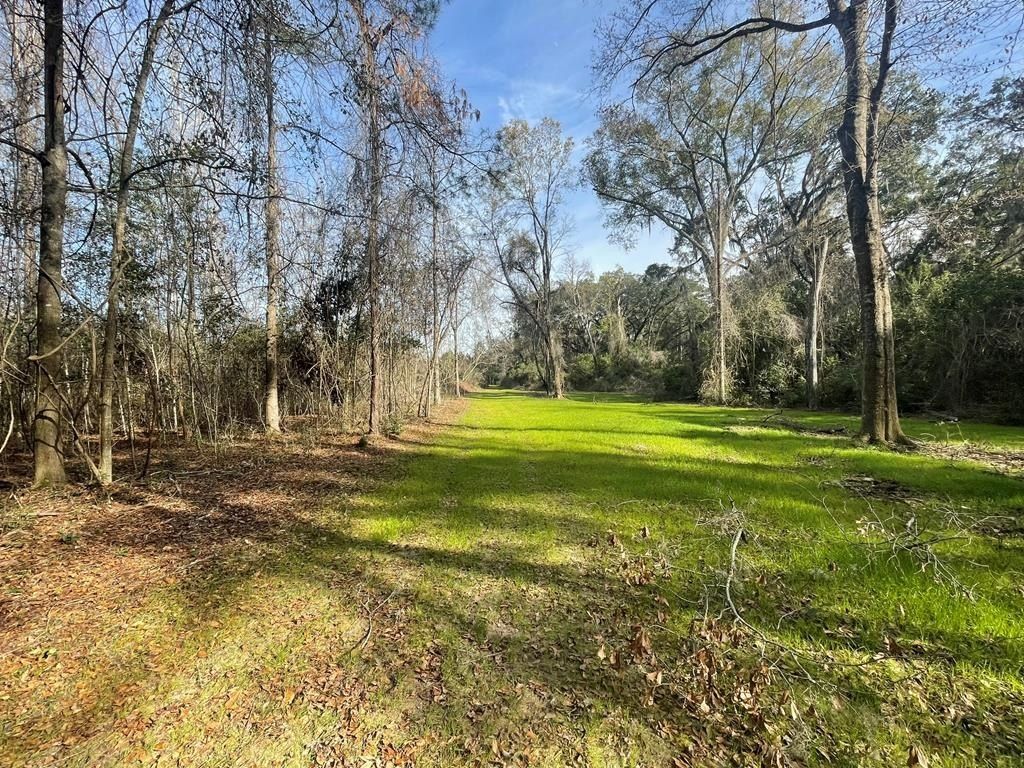Land For Sale Thomasville Ga