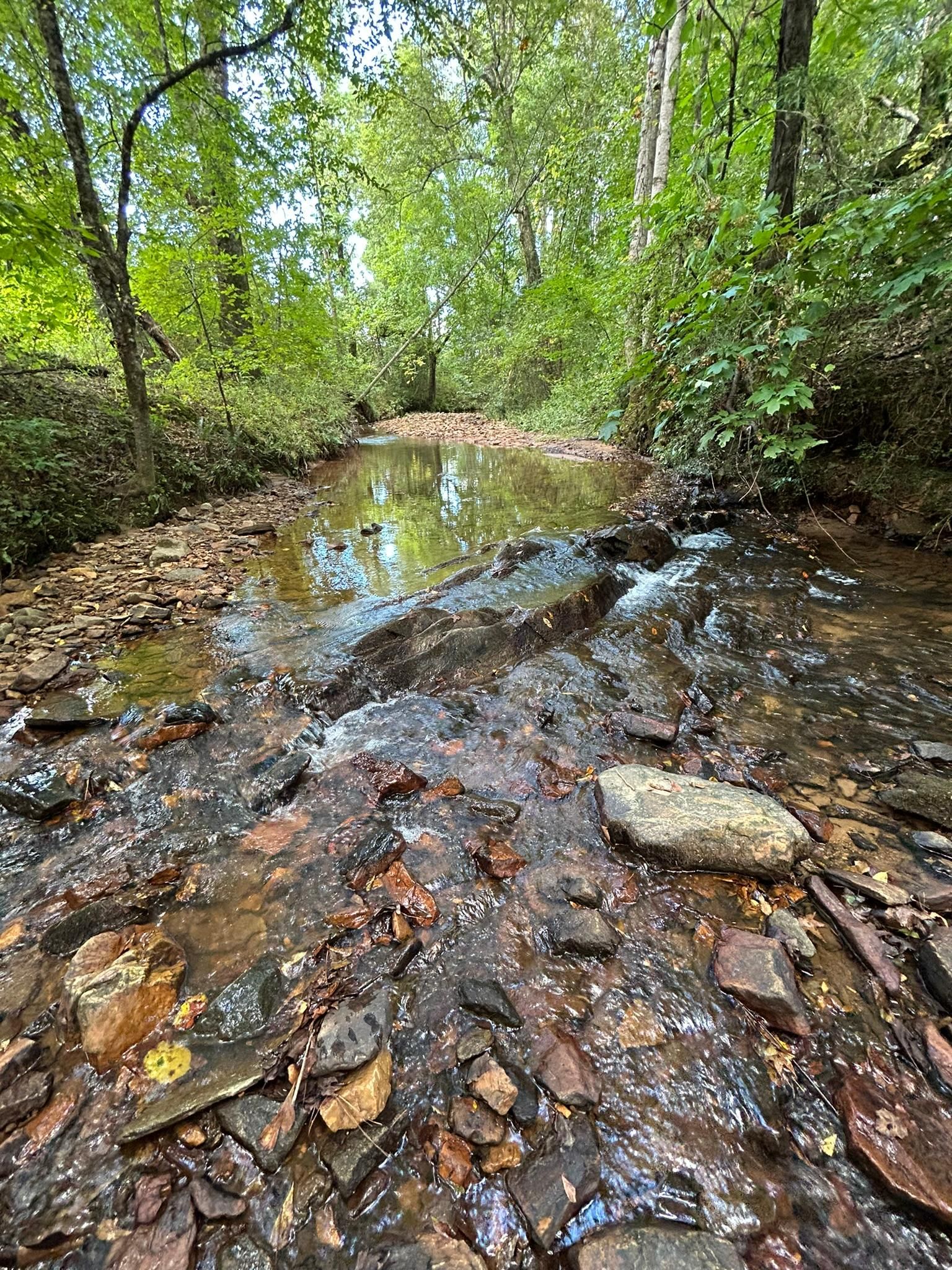 Alabama 22, New Site, AL 36256 LandWatch