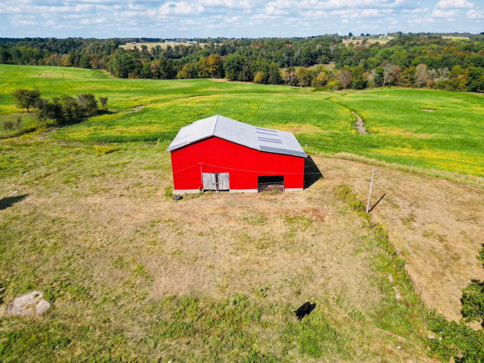 2414 Hanging Rock Road, Tract 3, Leitchfield, KY 42754 LandWatch