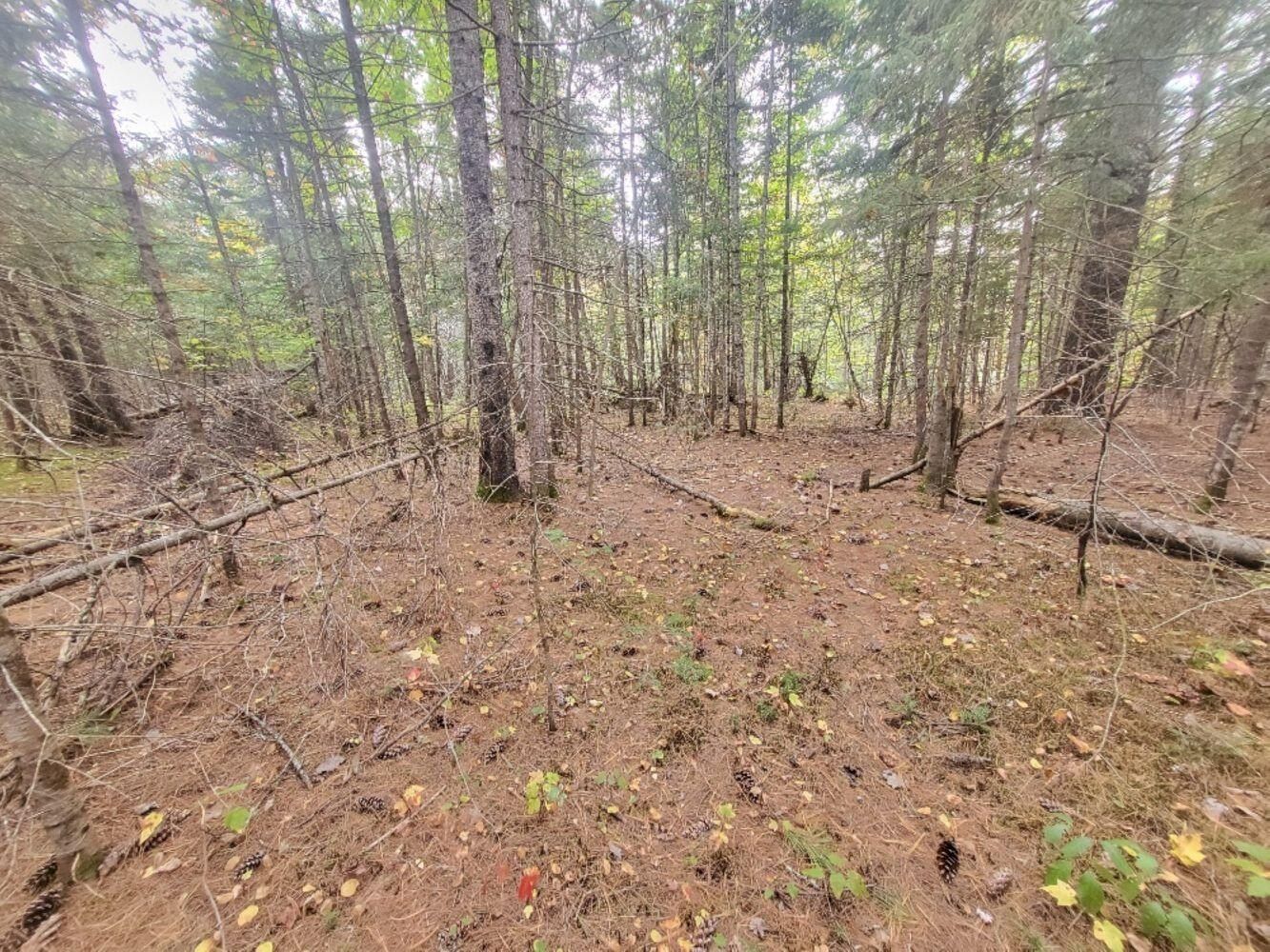 R8 L46 Shingle Mill Drive, New Vineyard, ME 04956 MLS 1604822