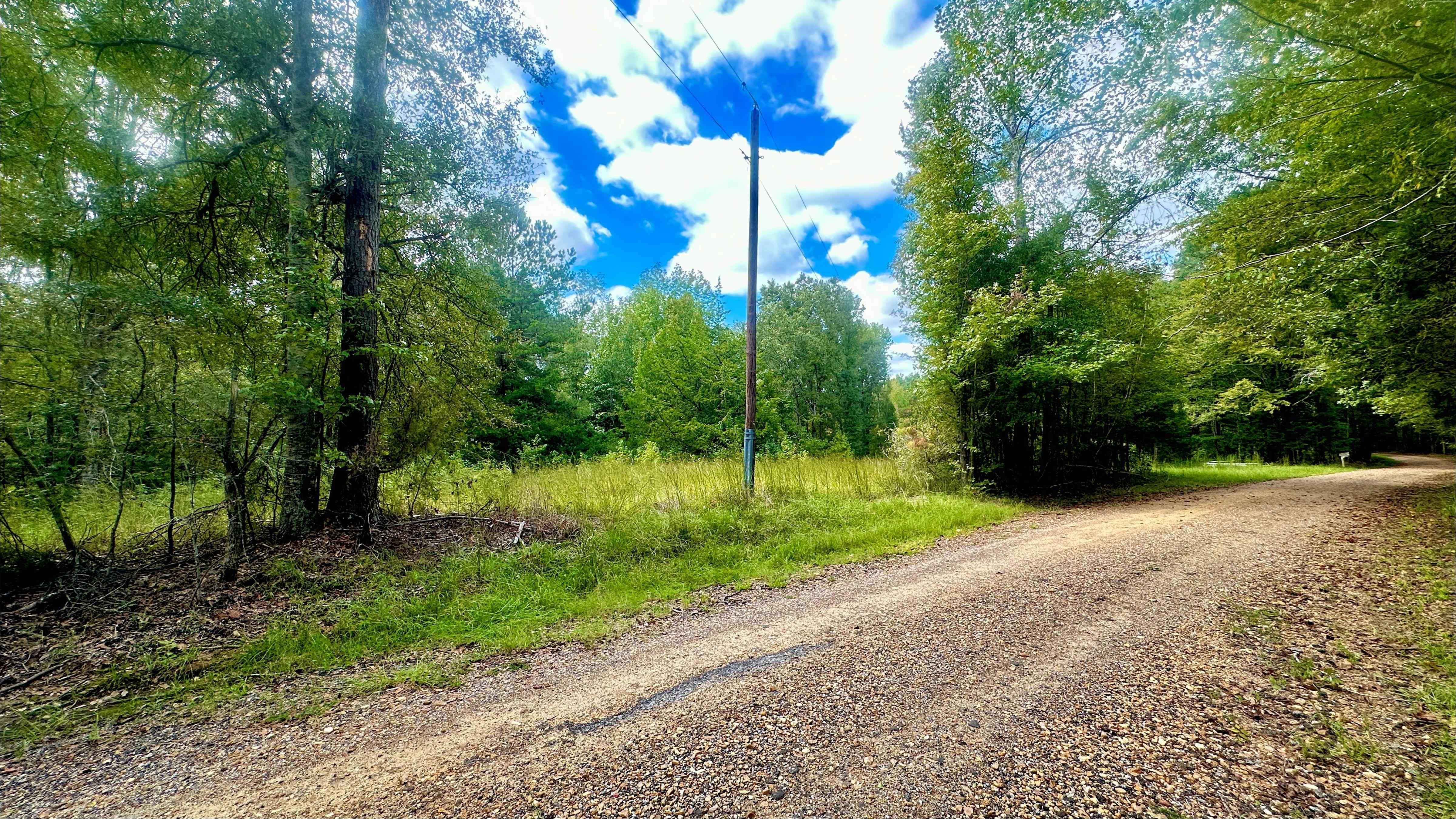 1297 Joe Johnson Rd, Bolton, MS 39041 LandWatch