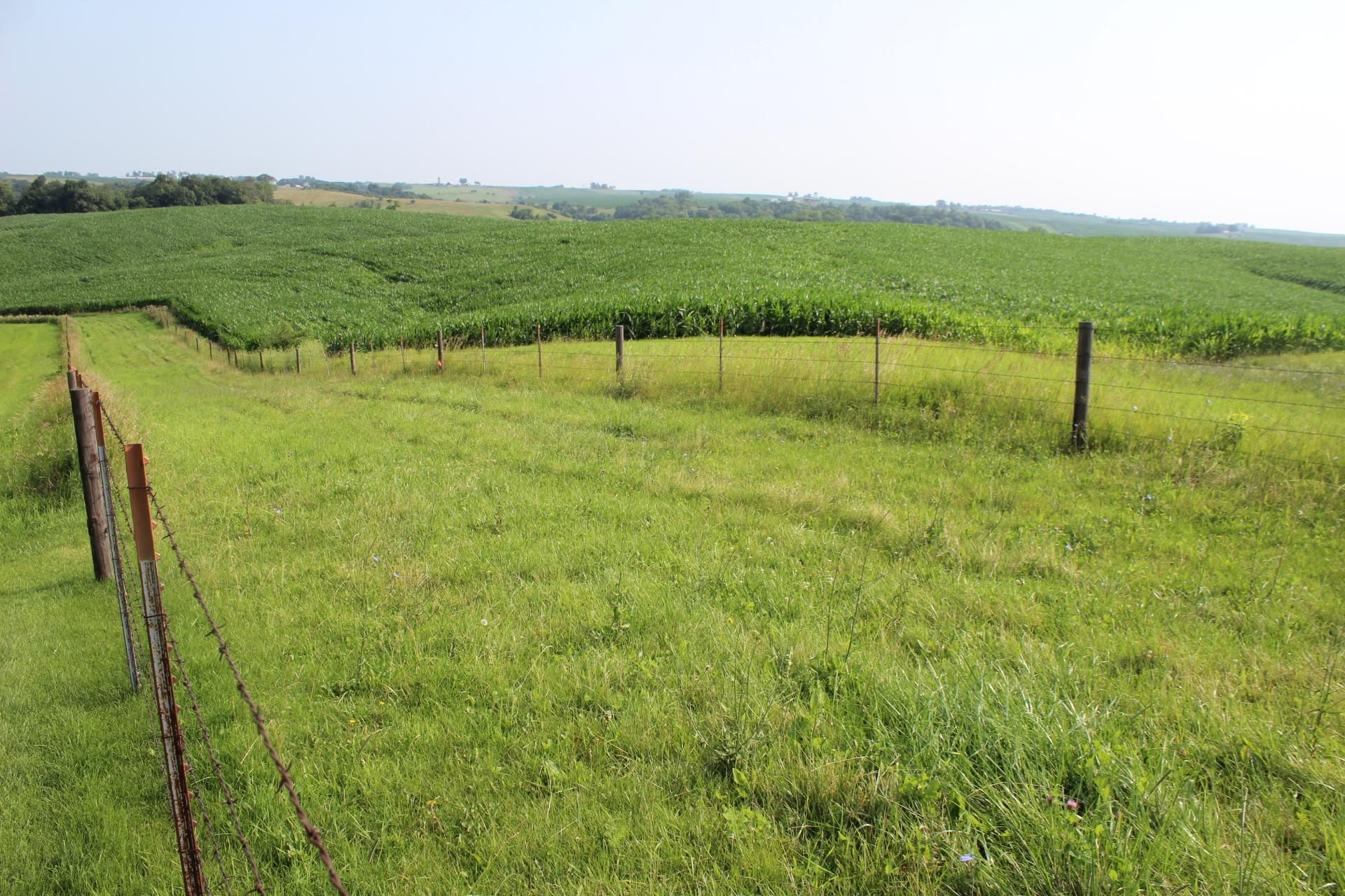 30th Ave, Wyoming, IA 52362 LandWatch