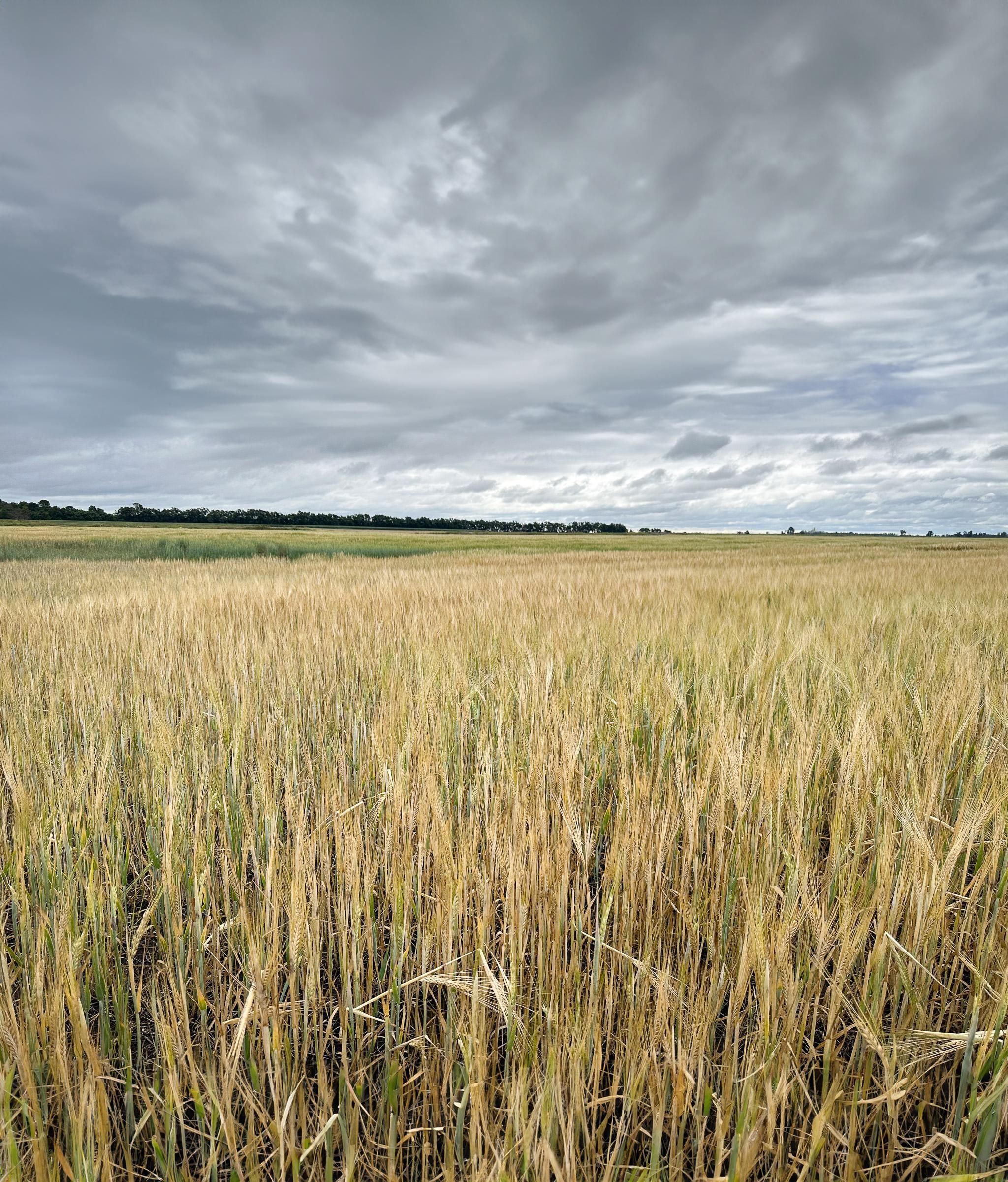 160 acres in Rogers, ND, 58479 LandWatch