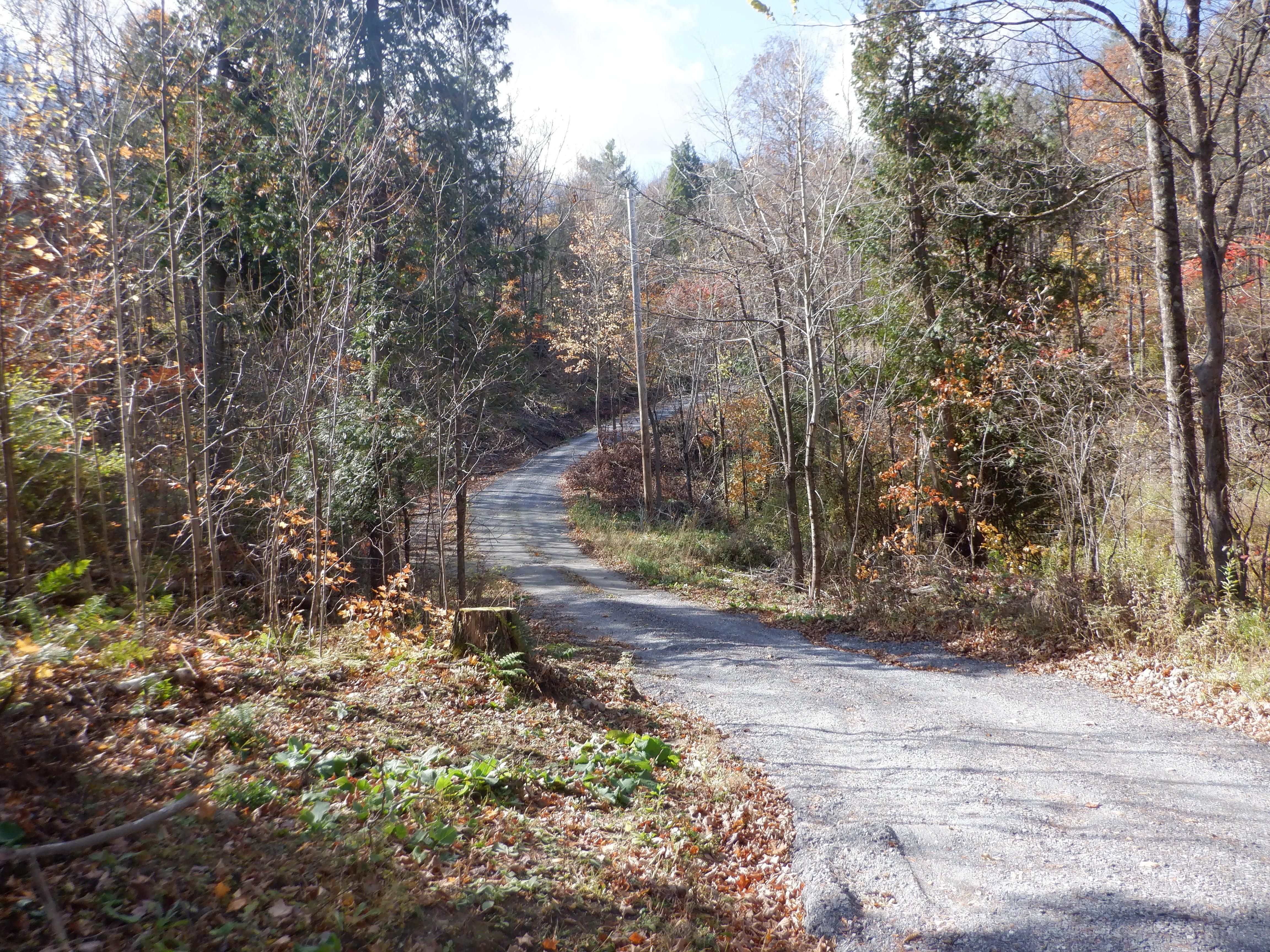 2118 Cold Springs Road, West Haven, VT 05743 LandWatch