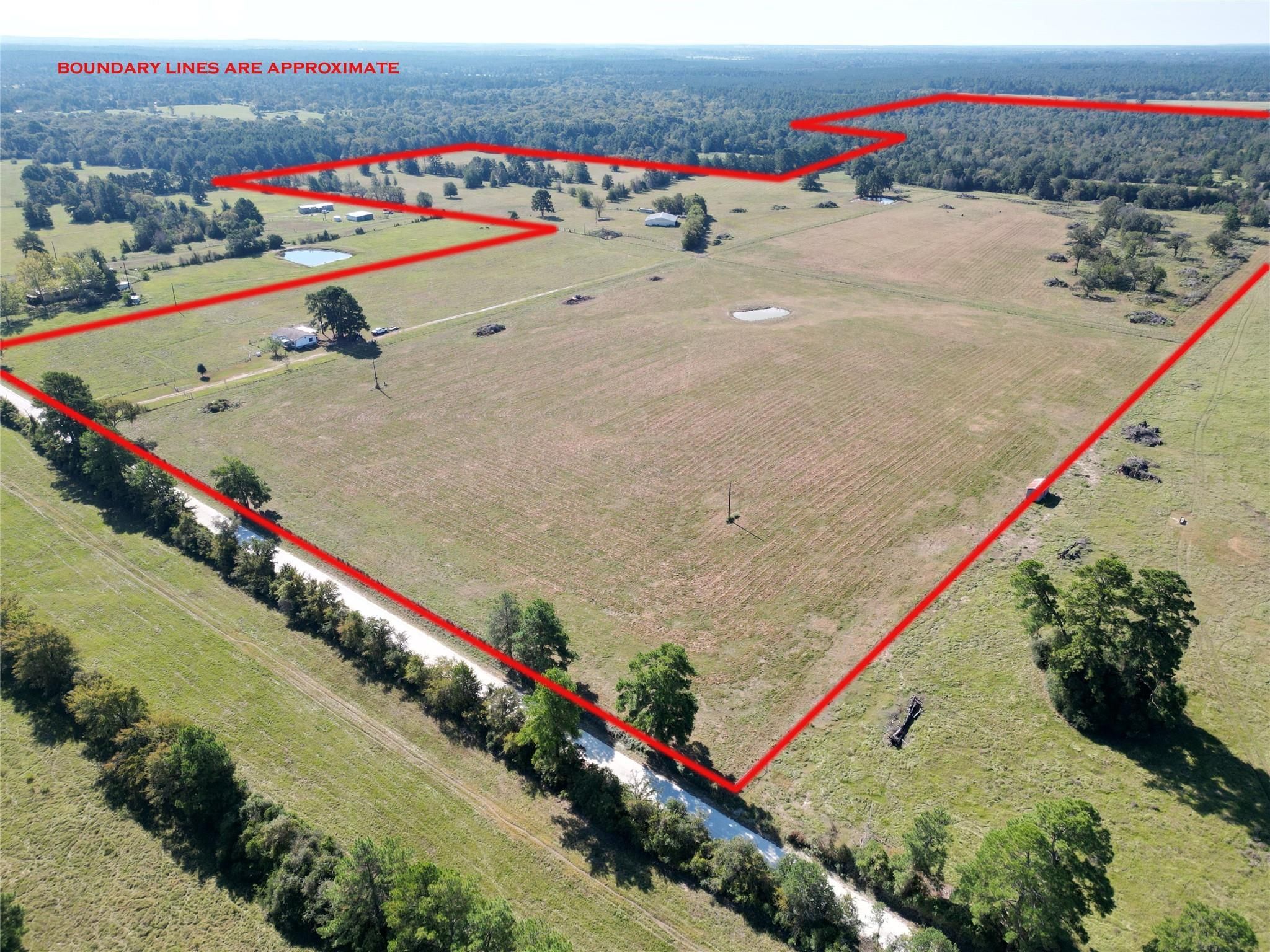 6464 County Road 146, Bedias, TX 77831 | MLS: 49788538 | LandWatch