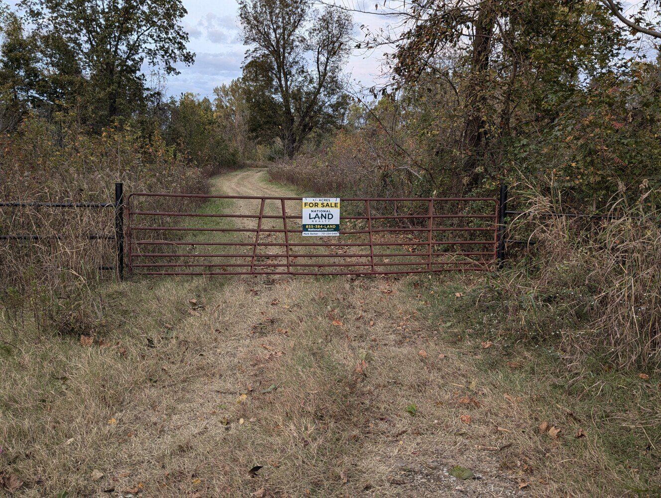 0 Dean Hill Rd, Hornbeak, TN 38232 | MLS: 11357853 | LandWatch