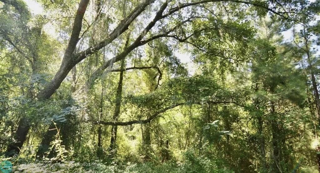 Nw Us 221 Greenville FL 32331 - 1 5361435251