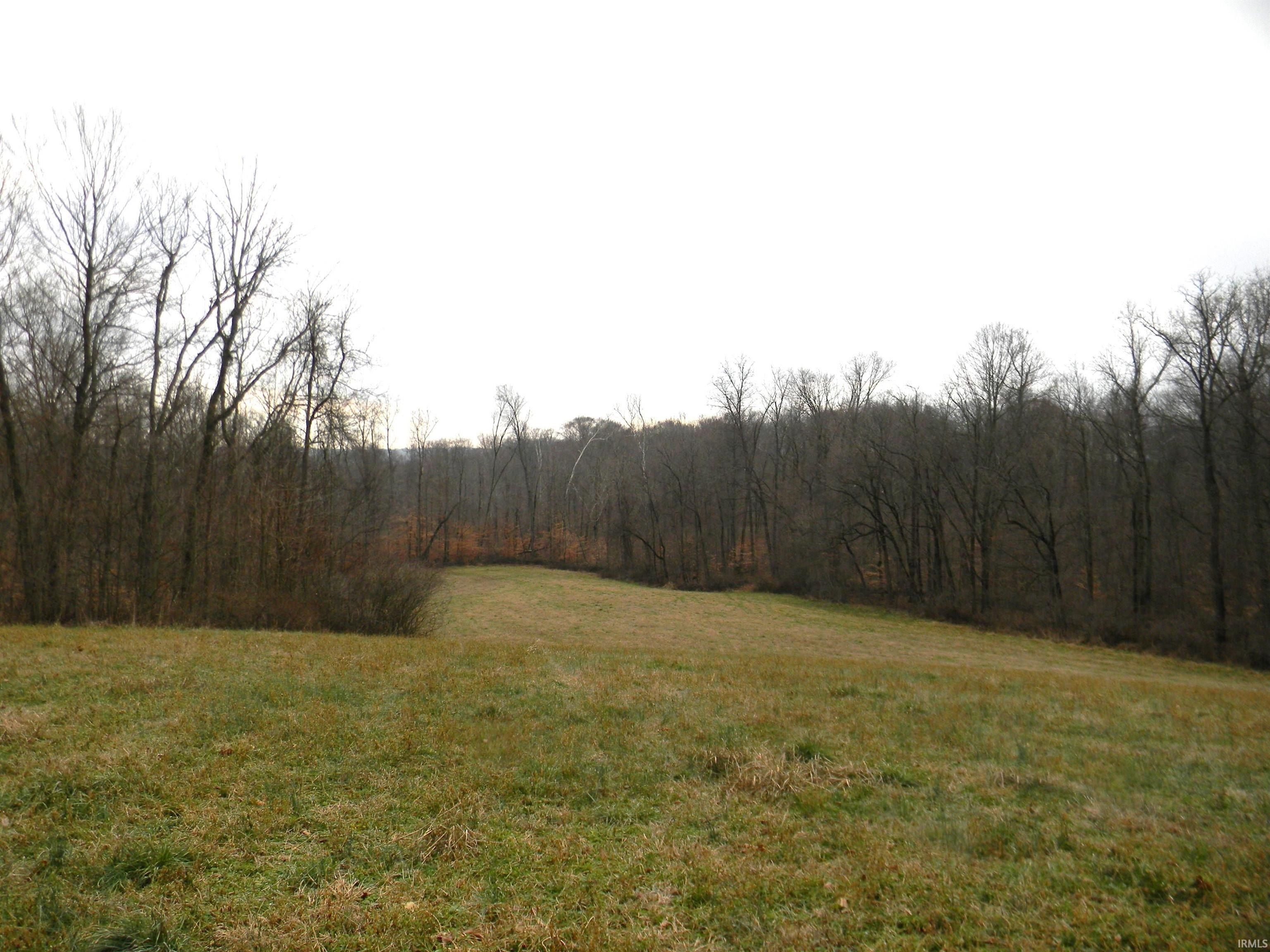 00 Freedom Road, Freedom, IN 47431 | MLS: 202447534 | LandWatch