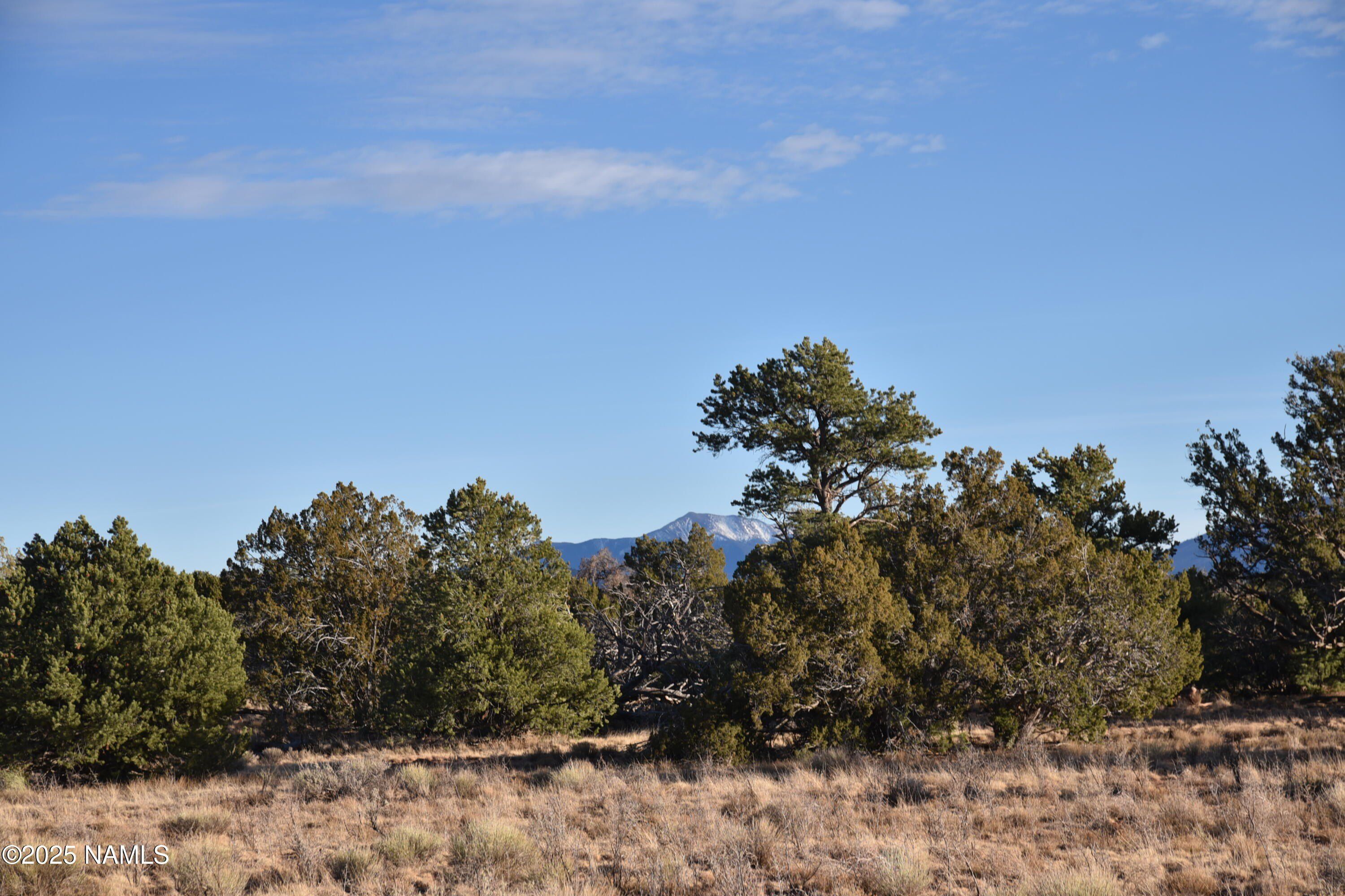 9075 Bird Dog Circle, Williams, AZ 86046 | MLS: 199249 | LandWatch