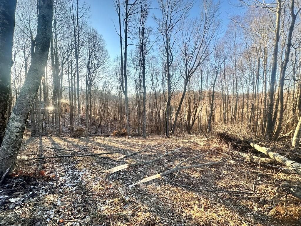Tbd Hidden Valley Ln, Independence, VA 24348 MLS 98673 LandWatch