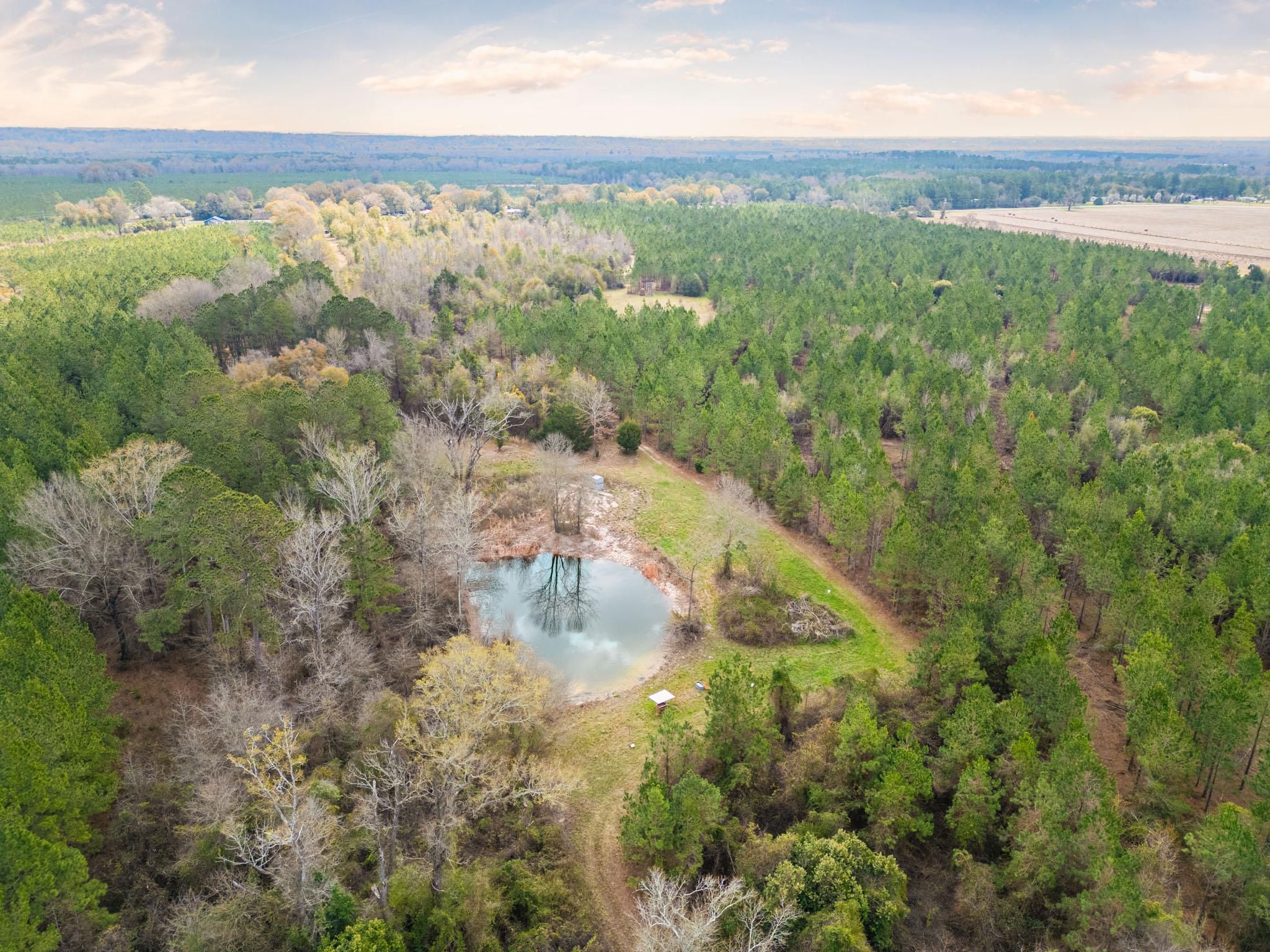 835 State Route 128, Oglethorpe, GA 31068 | LandWatch
