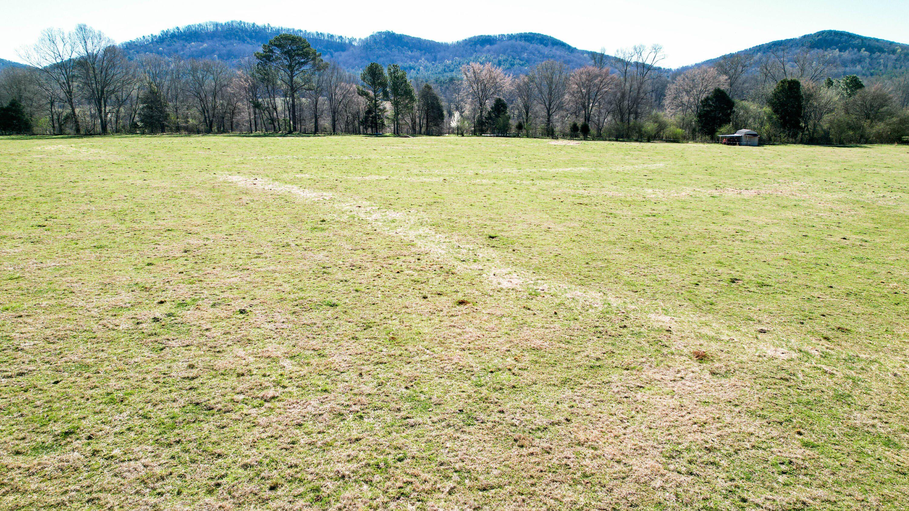1580 County Road 41, Gaylesville, AL 35973 | MLS: 1509840 | LandWatch