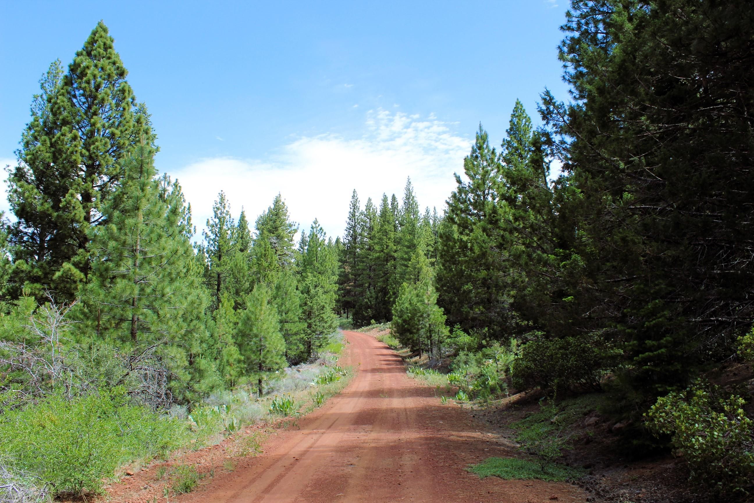 Golden Ln, Alturas, CA 96101 LandWatch(00)