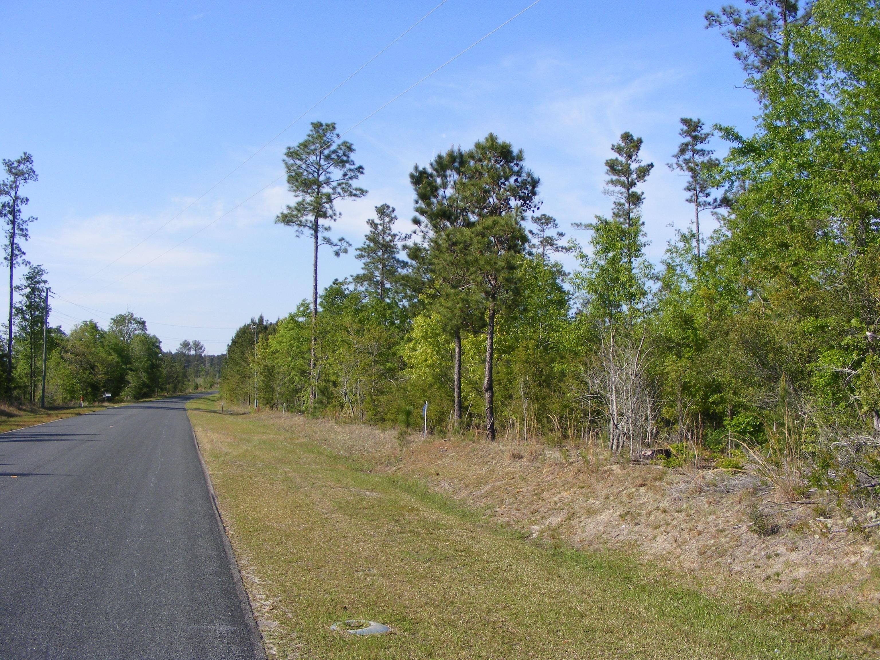 A Z Road, North, SC 29112 | LandWatch